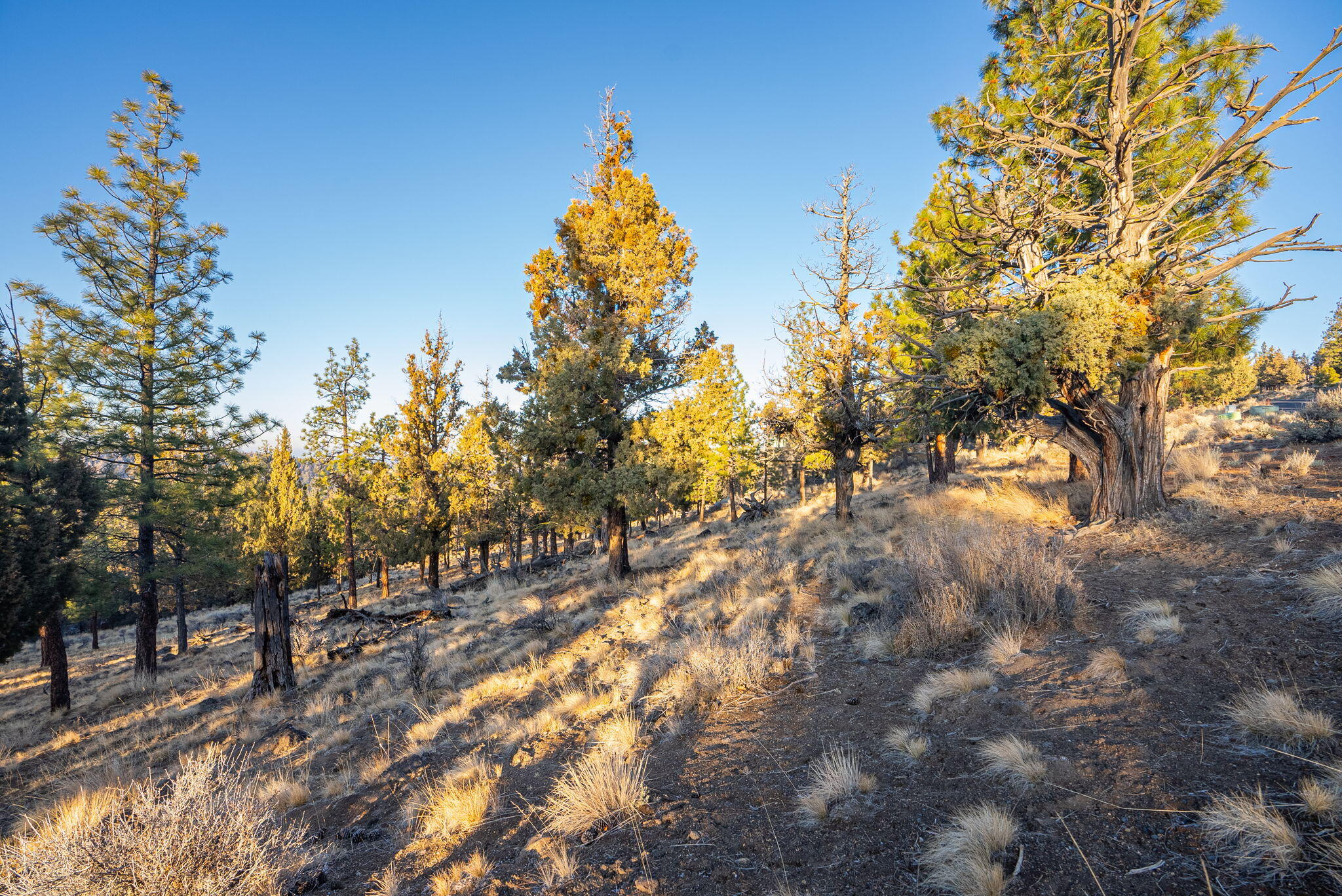 1692 NW Wild Rye Circle