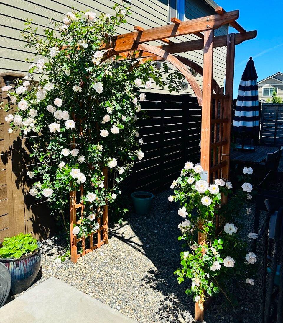 20551 SE Cameron Avenue