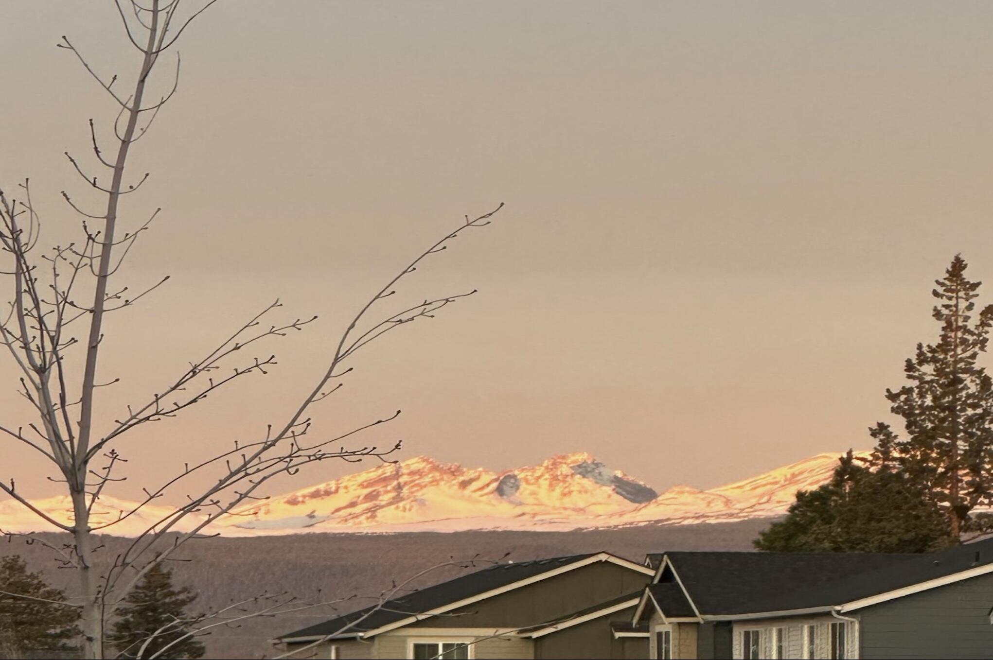 20551 SE Cameron Avenue