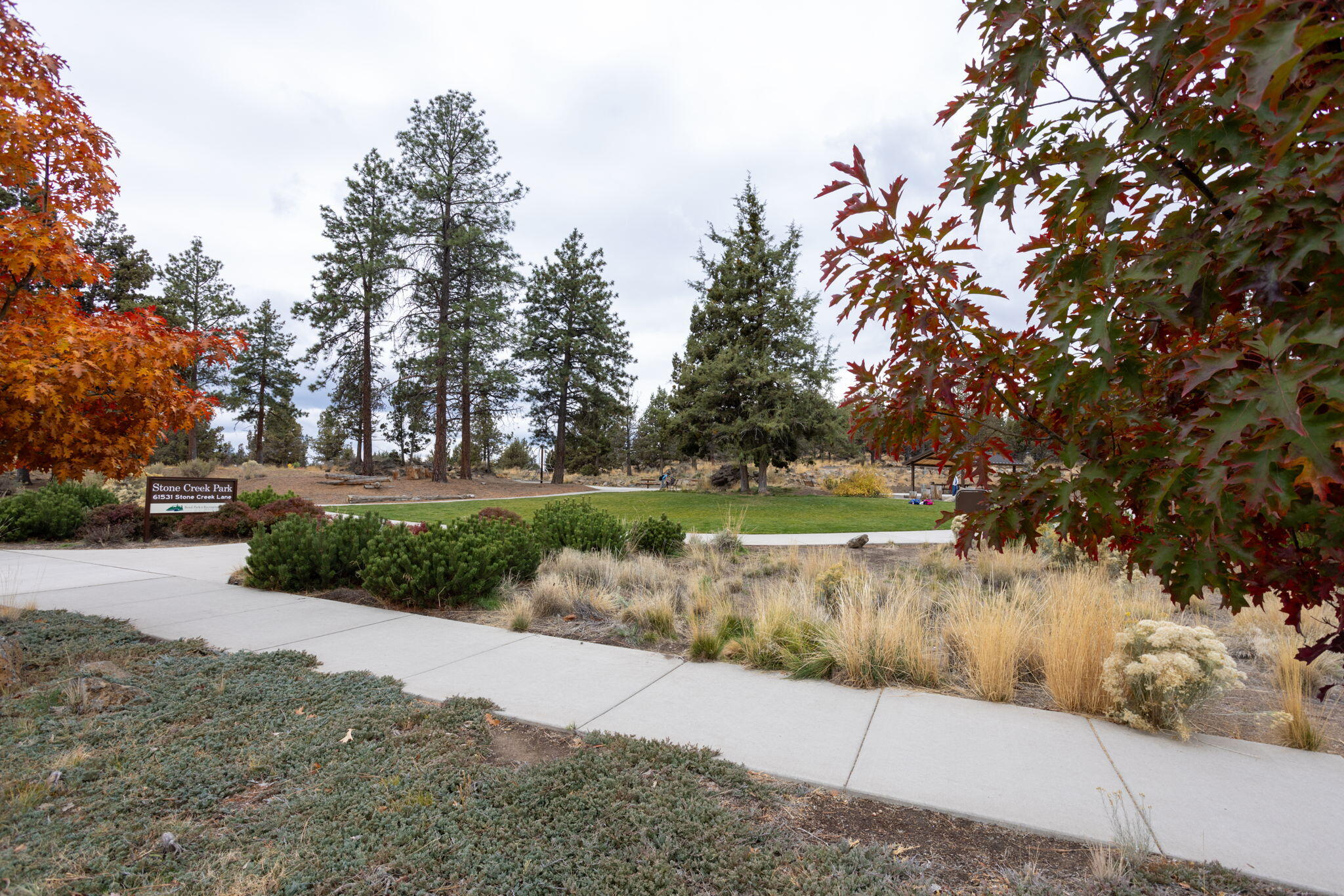 20551 SE Cameron Avenue