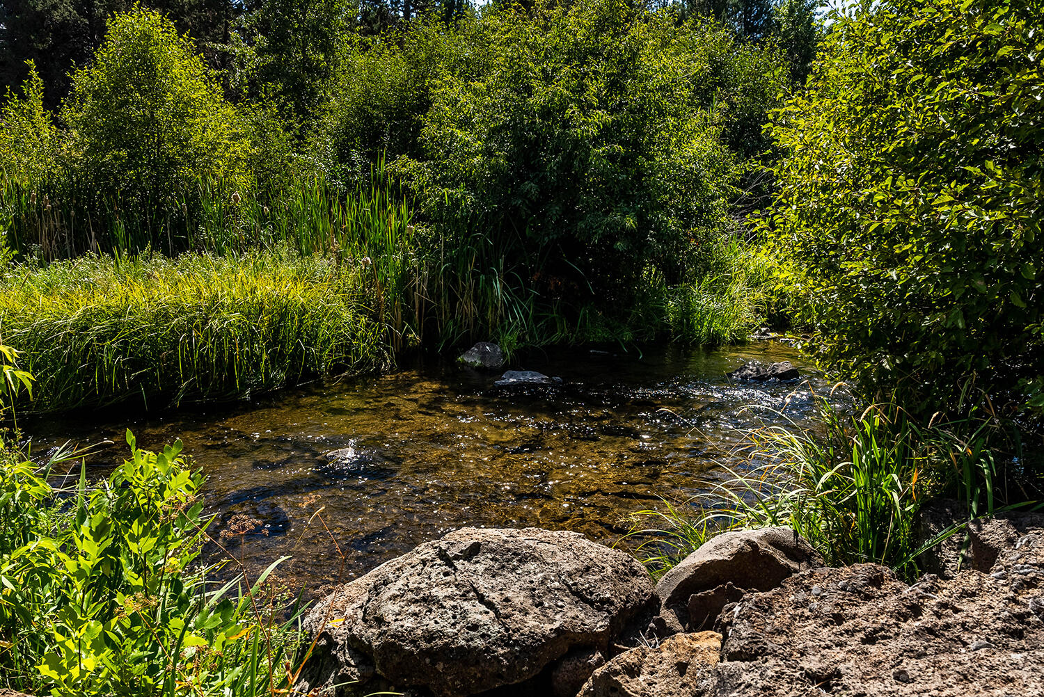 3916 NW Lower Village Road