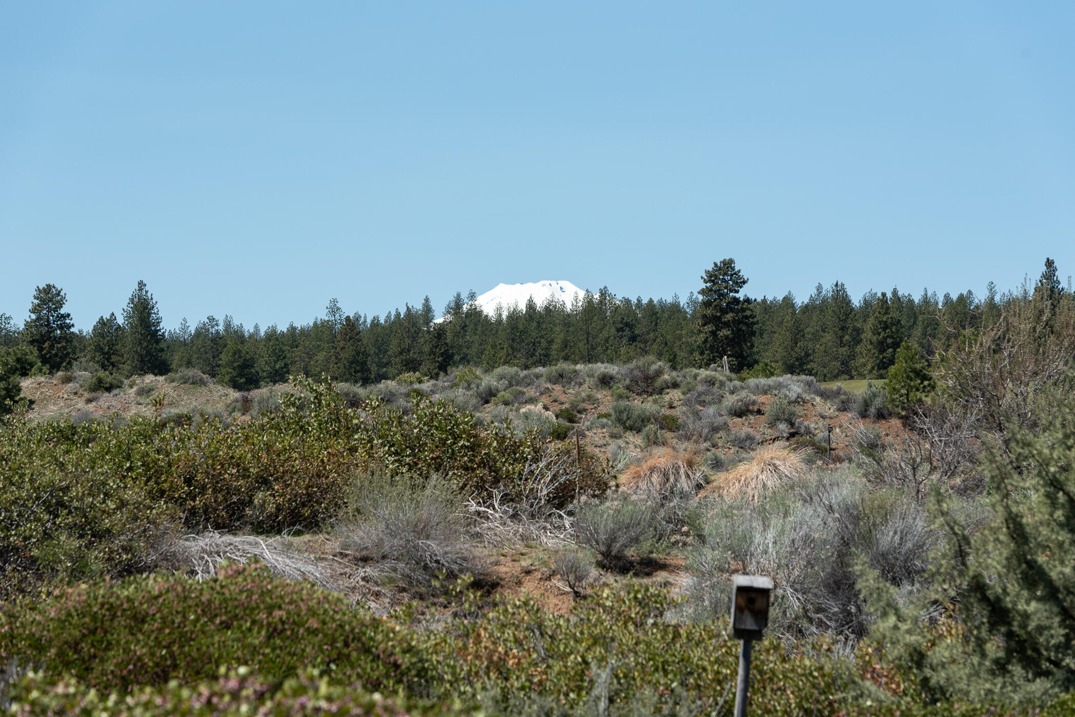 61337 Triple Knot Road