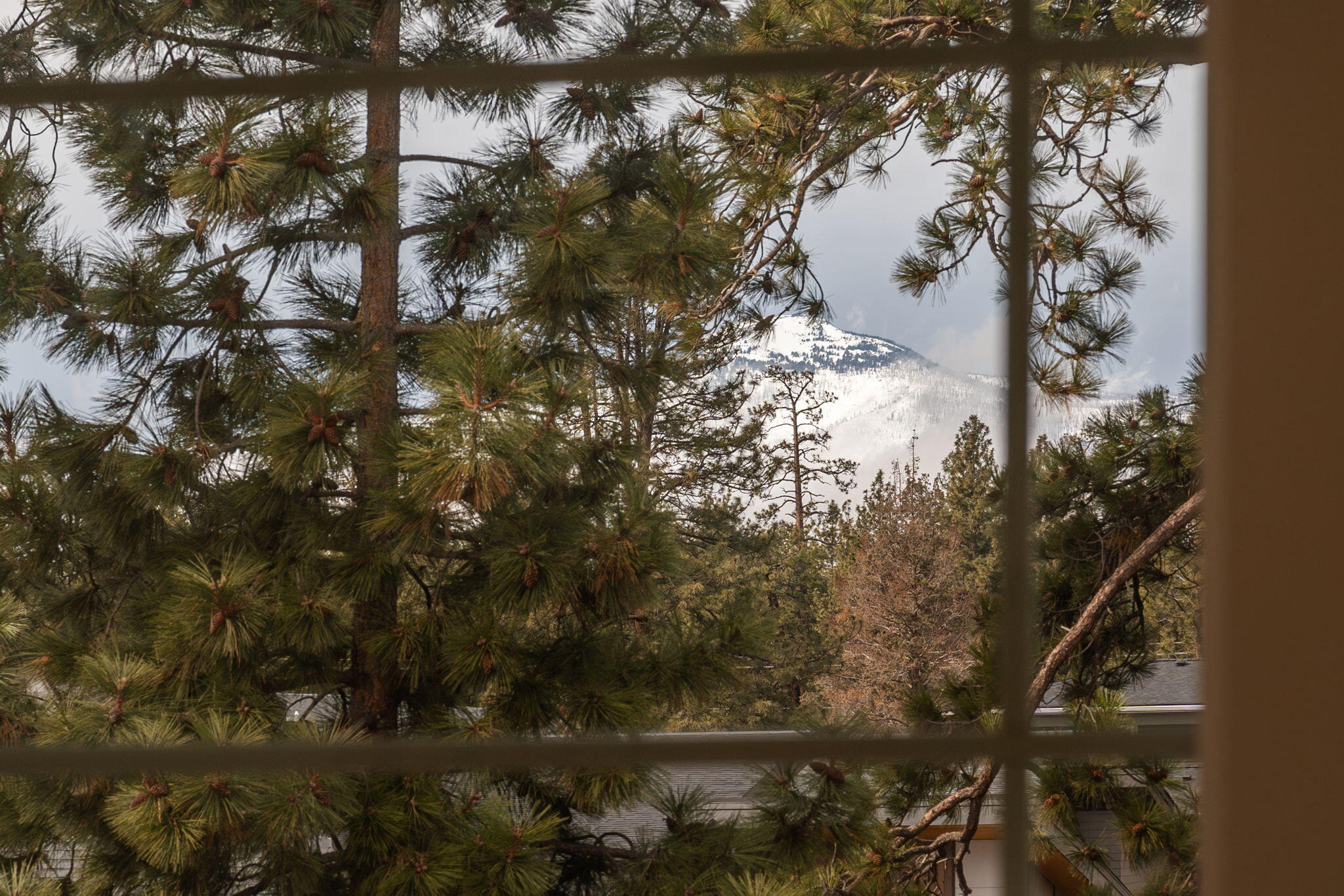 141 W Clearpine Drive