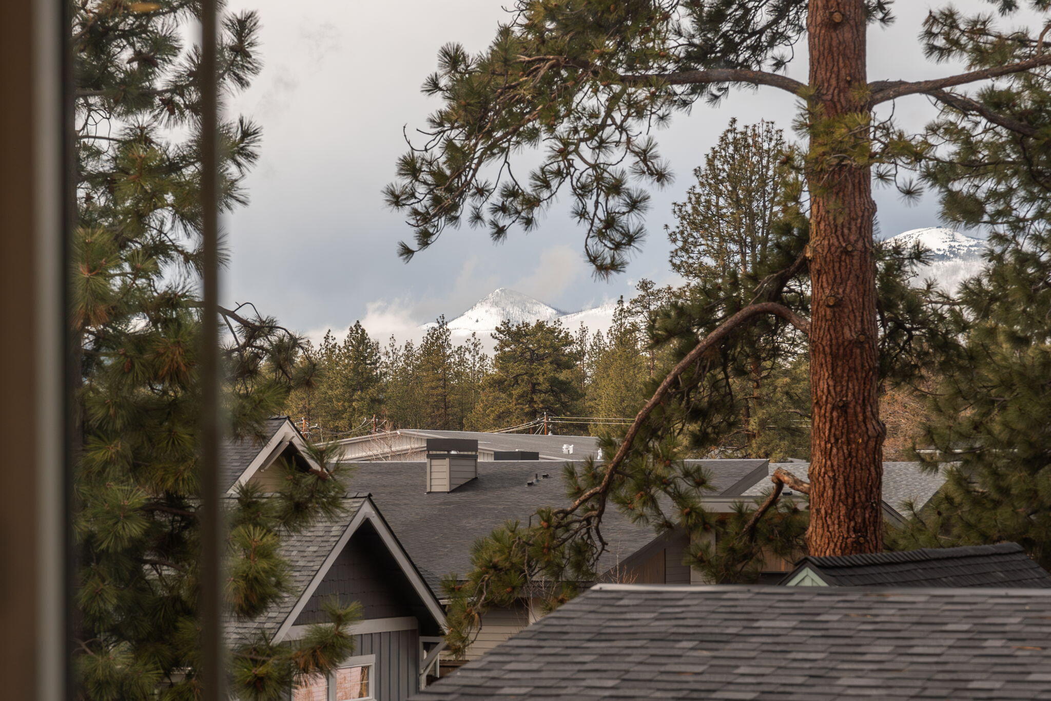 141 W Clearpine Drive