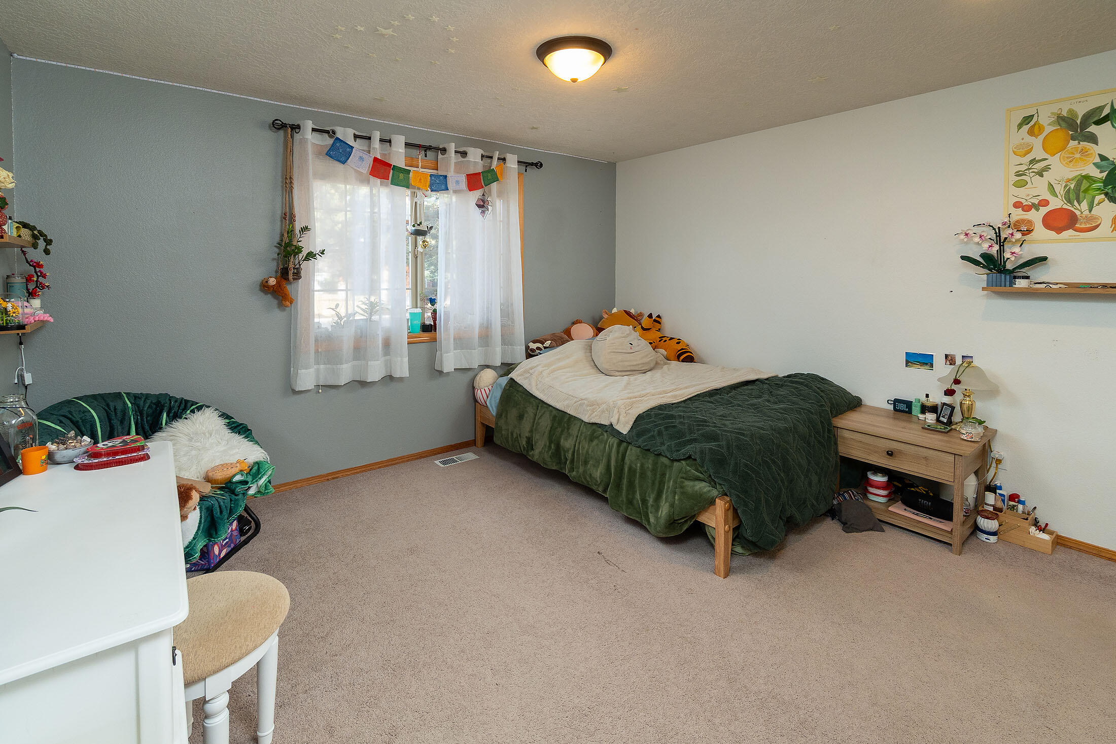 61415 Steens Mountain Loop