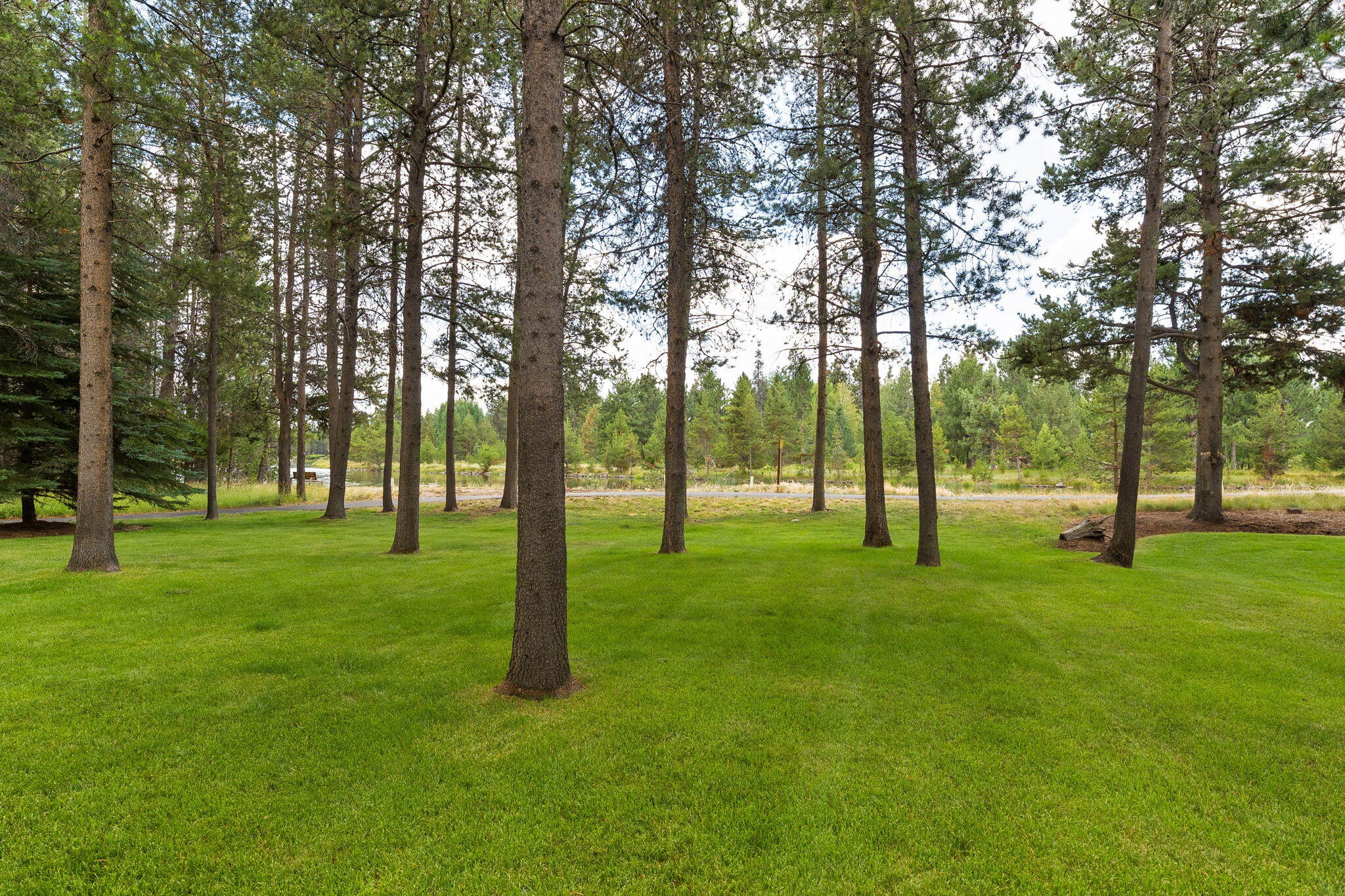 16897 Pony Express Way