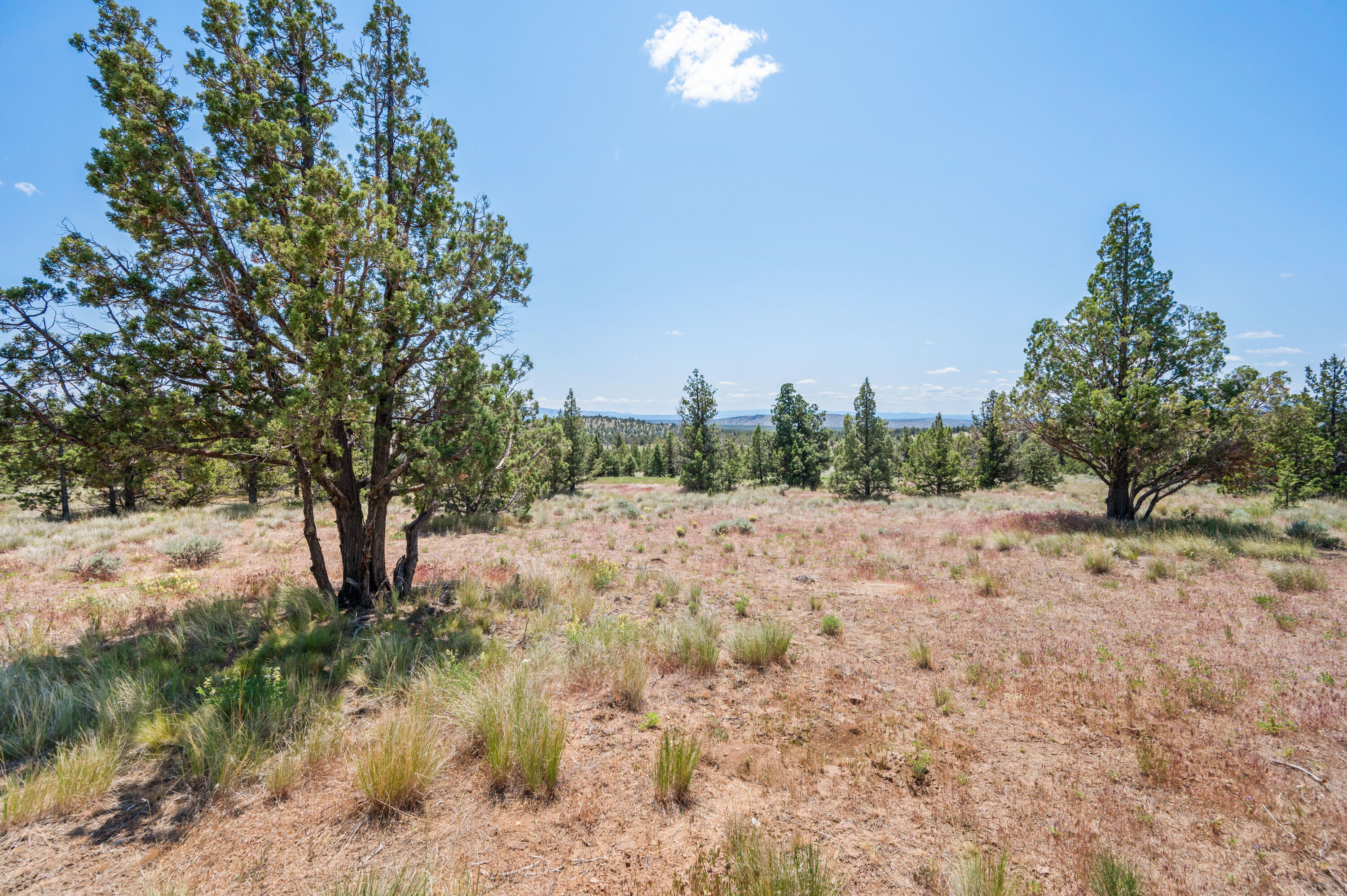 10352 SE Liberty Court, Prineville