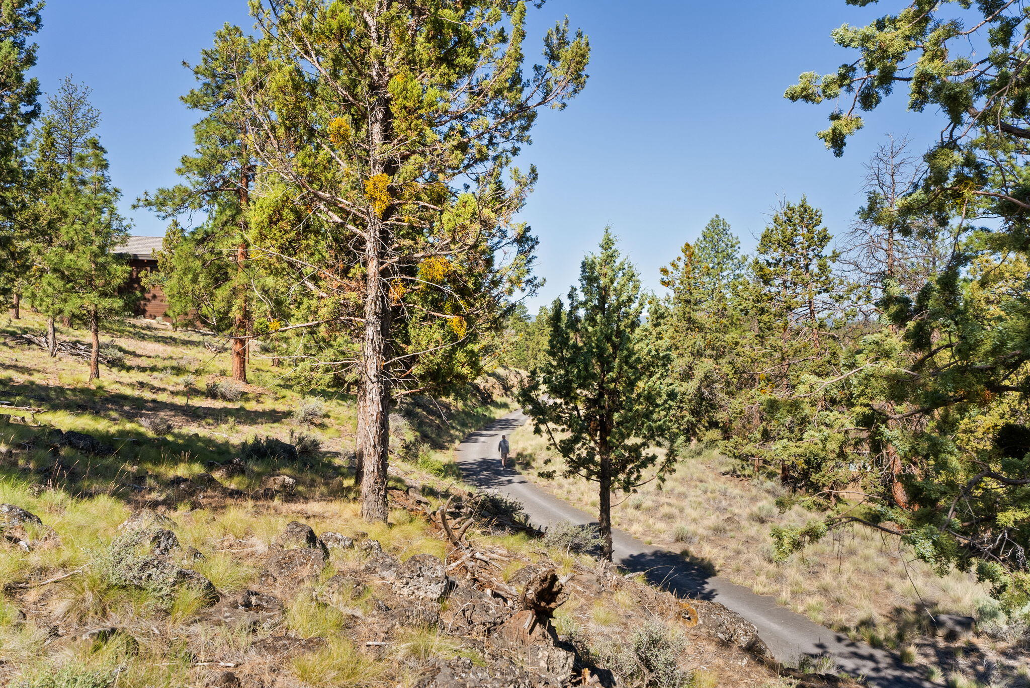 1692 NW Wild Rye Circle, 109