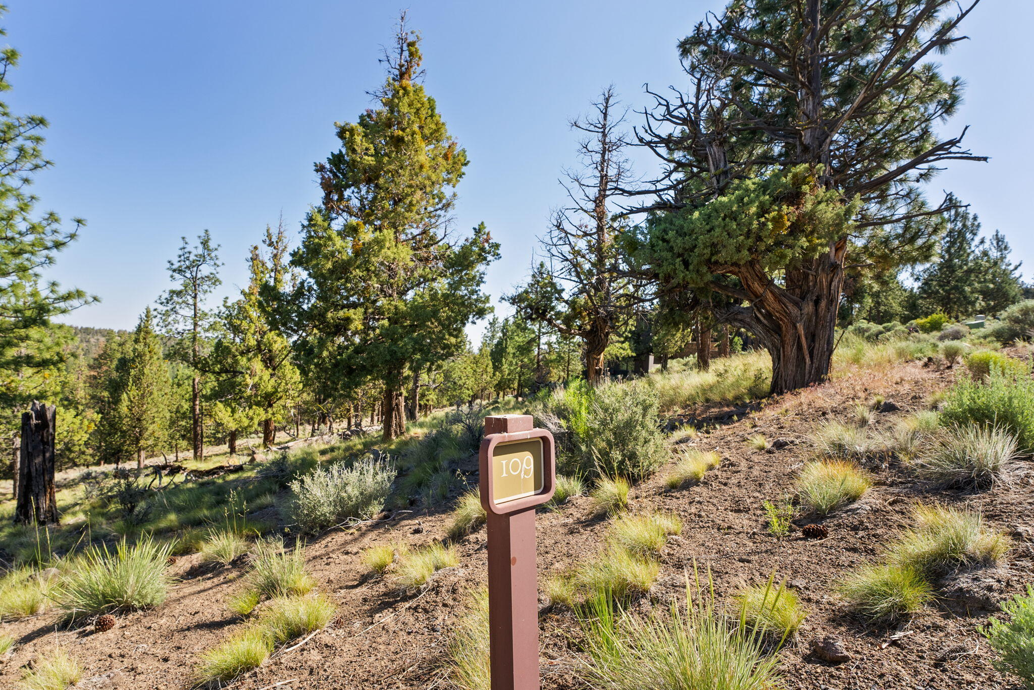 1692 NW Wild Rye Circle, 109