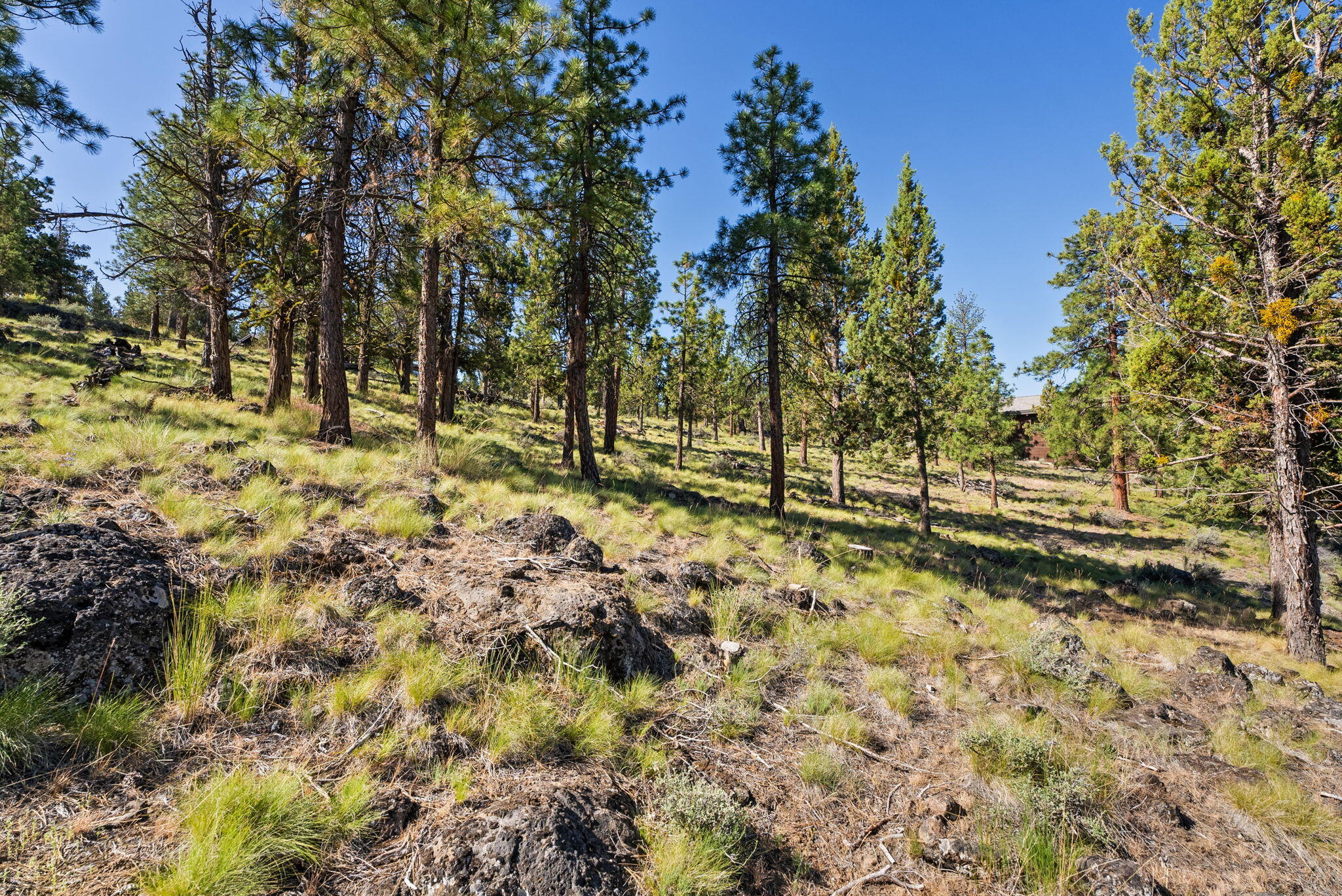 1692 NW Wild Rye Circle, 109