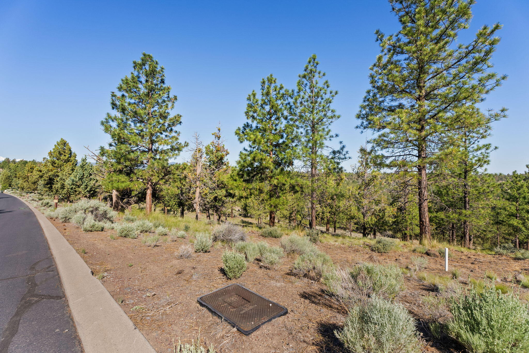 1692 NW Wild Rye Circle, 109