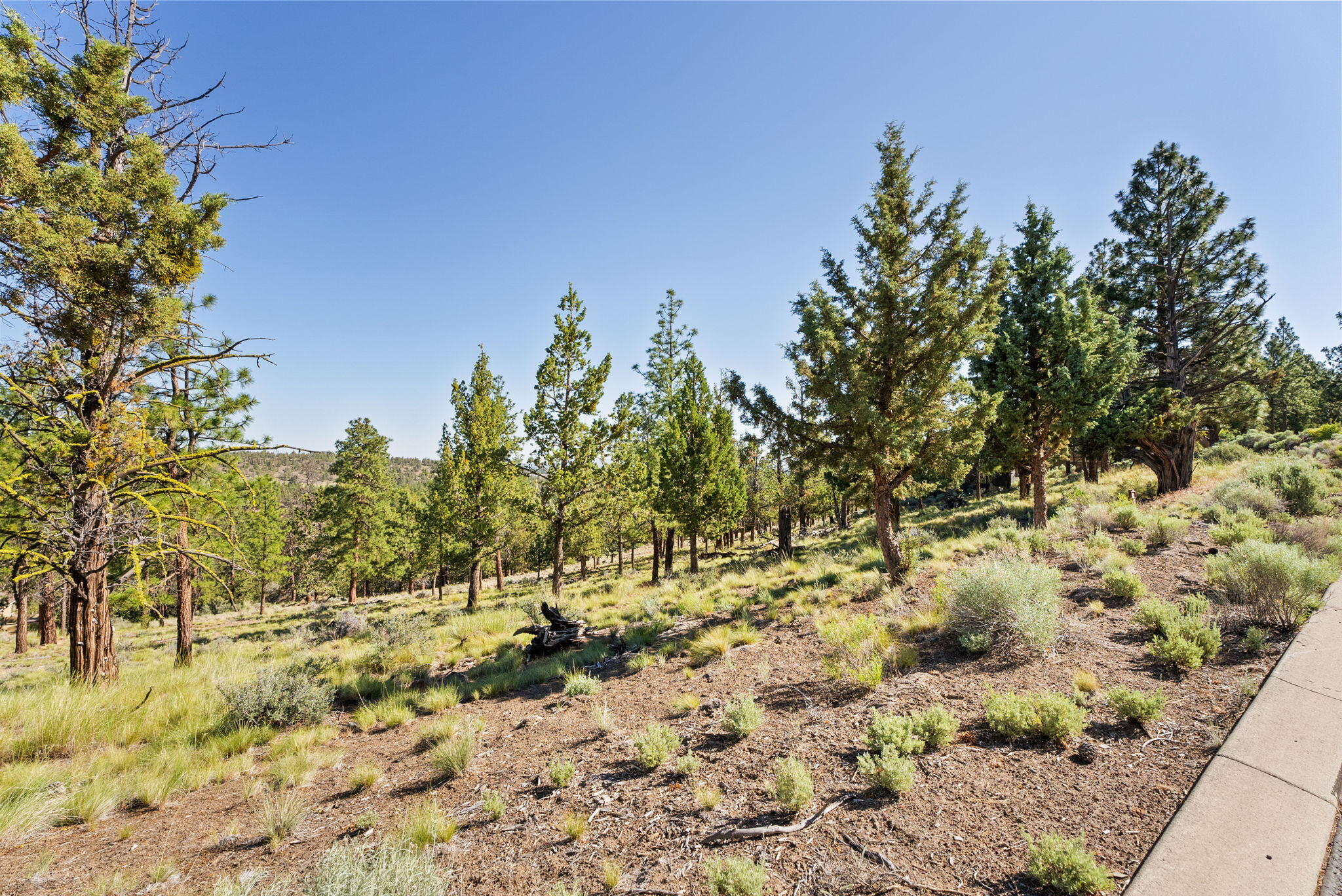 1692 NW Wild Rye Circle, 109