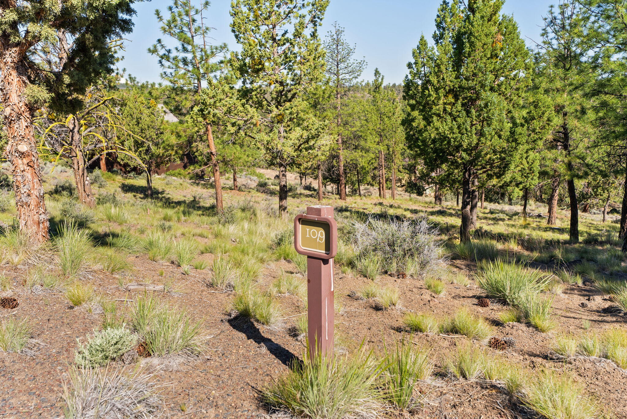 1692 NW Wild Rye Circle, 109