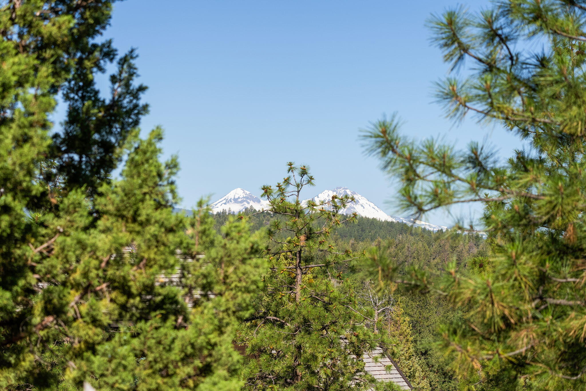 1692 NW Wild Rye Circle, 109