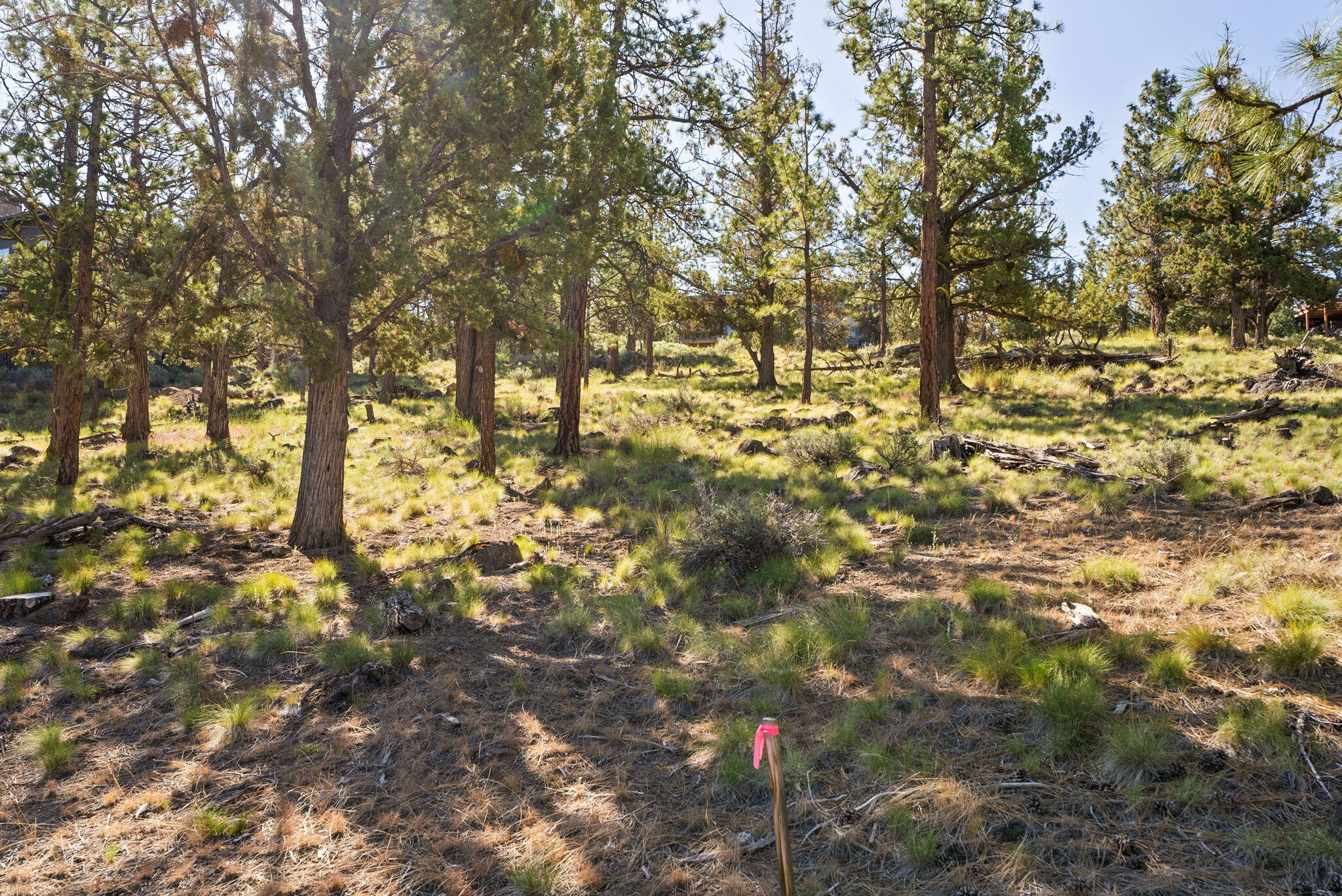 1692 NW Wild Rye Circle, 109