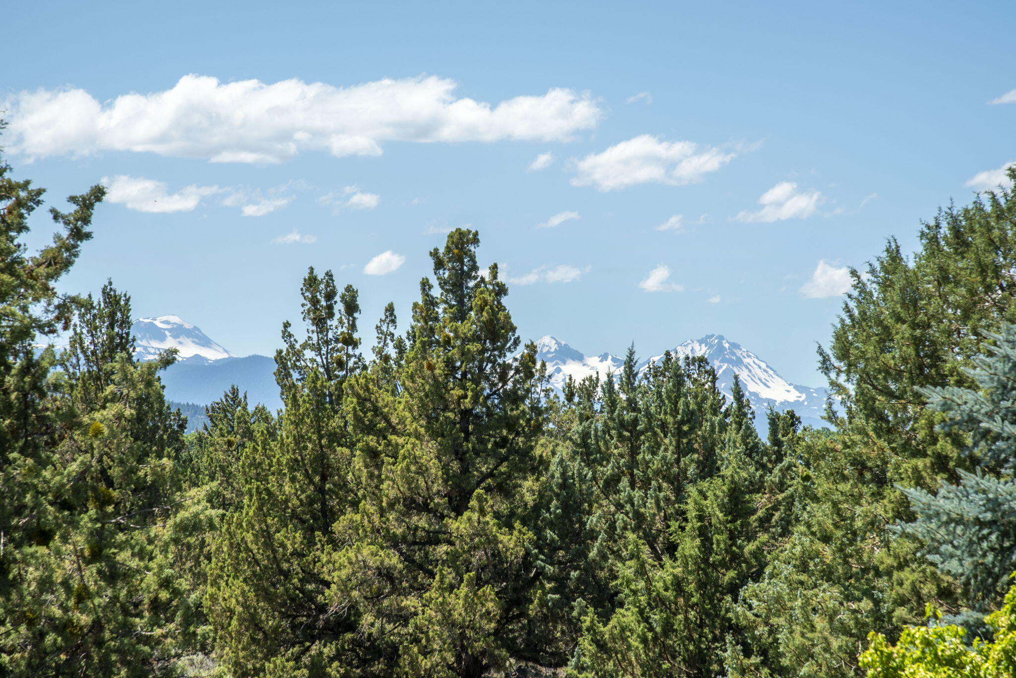 62824 Loma Vista Drive