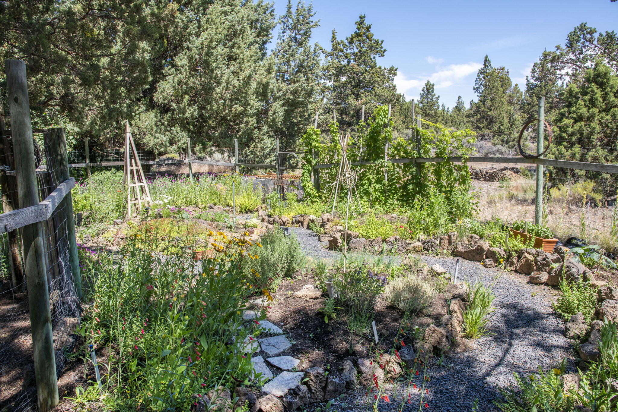 62824 Loma Vista Drive