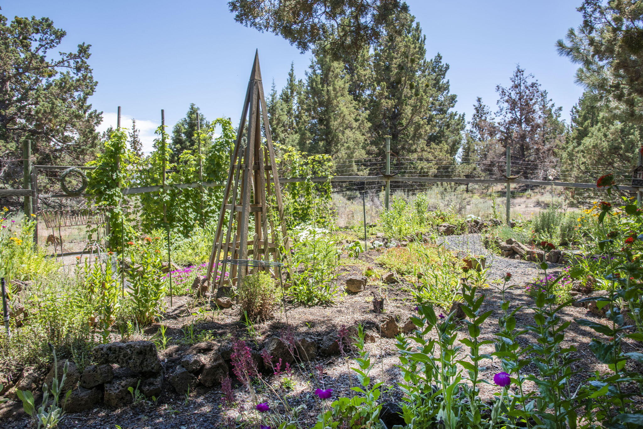 62824 Loma Vista Drive