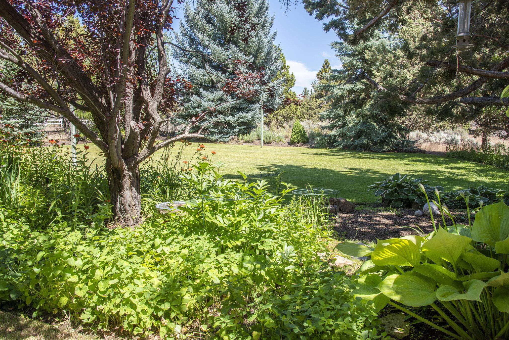 62824 Loma Vista Drive