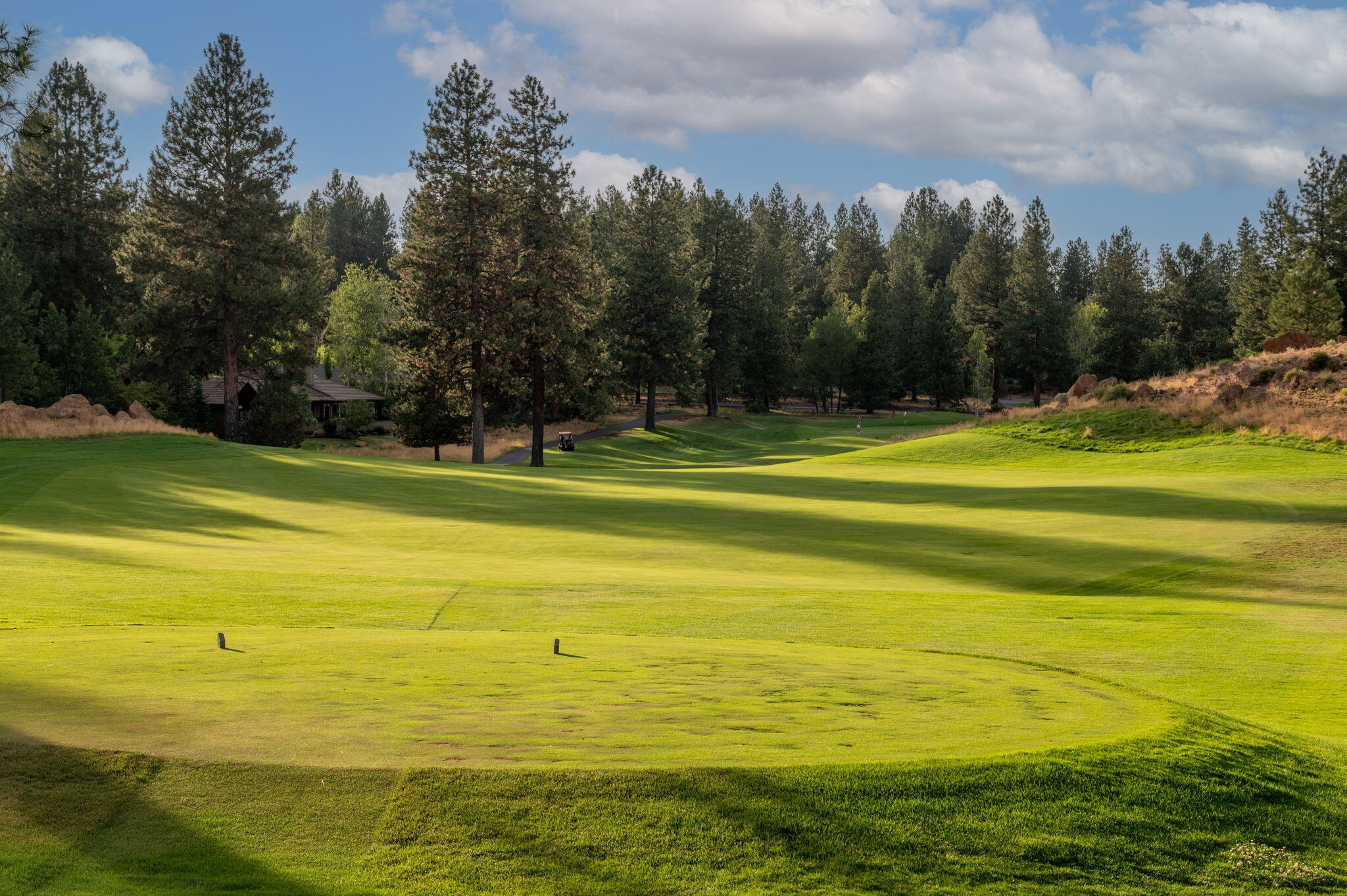 61824 Red Meadow Court