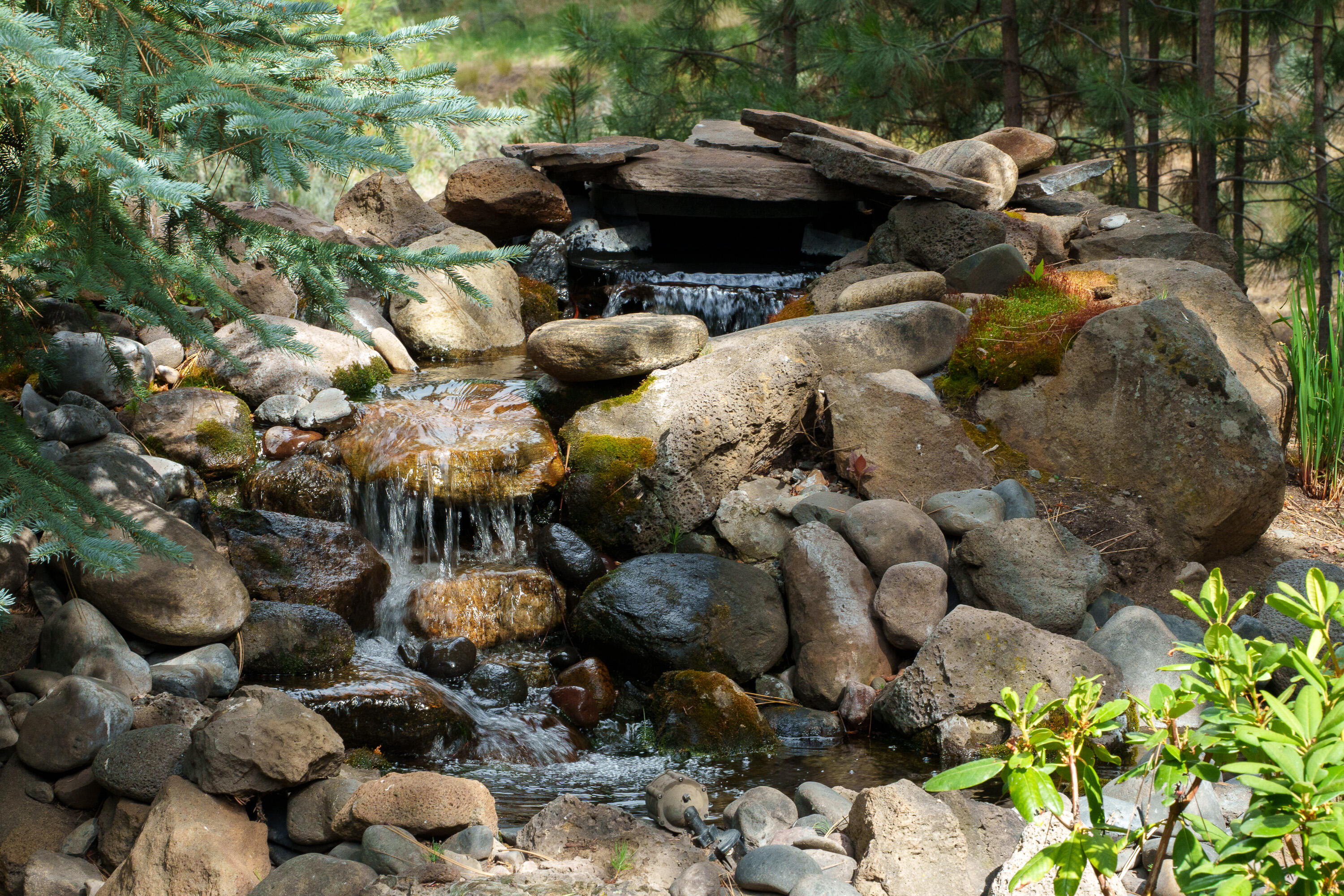 2537 NW Champion Circle