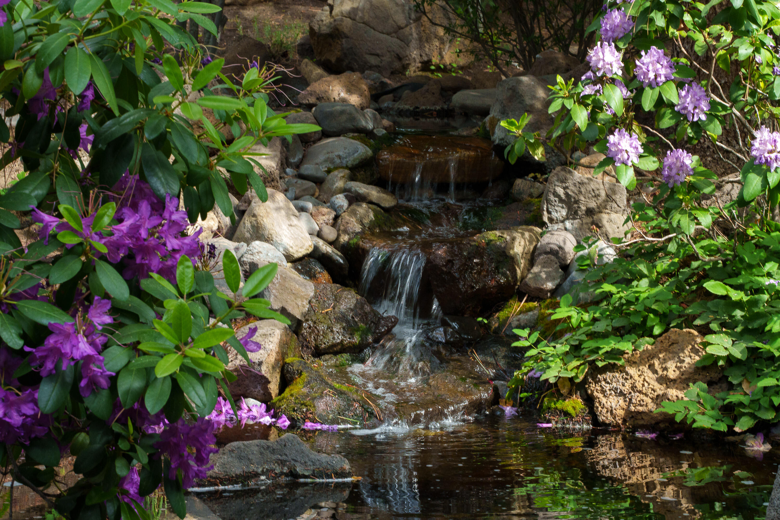 2537 NW Champion Circle