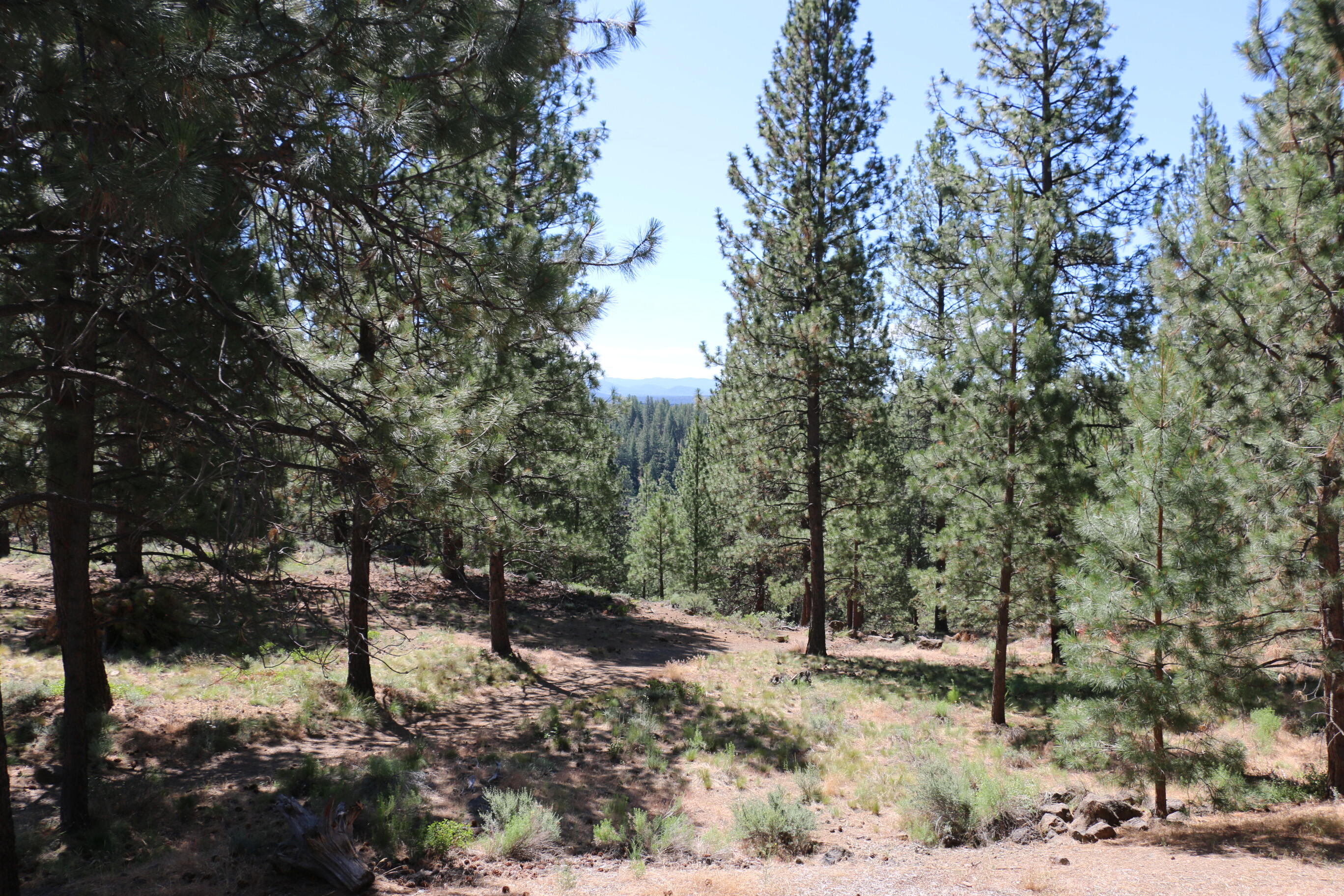 18575 SW Century Drive, 221 221