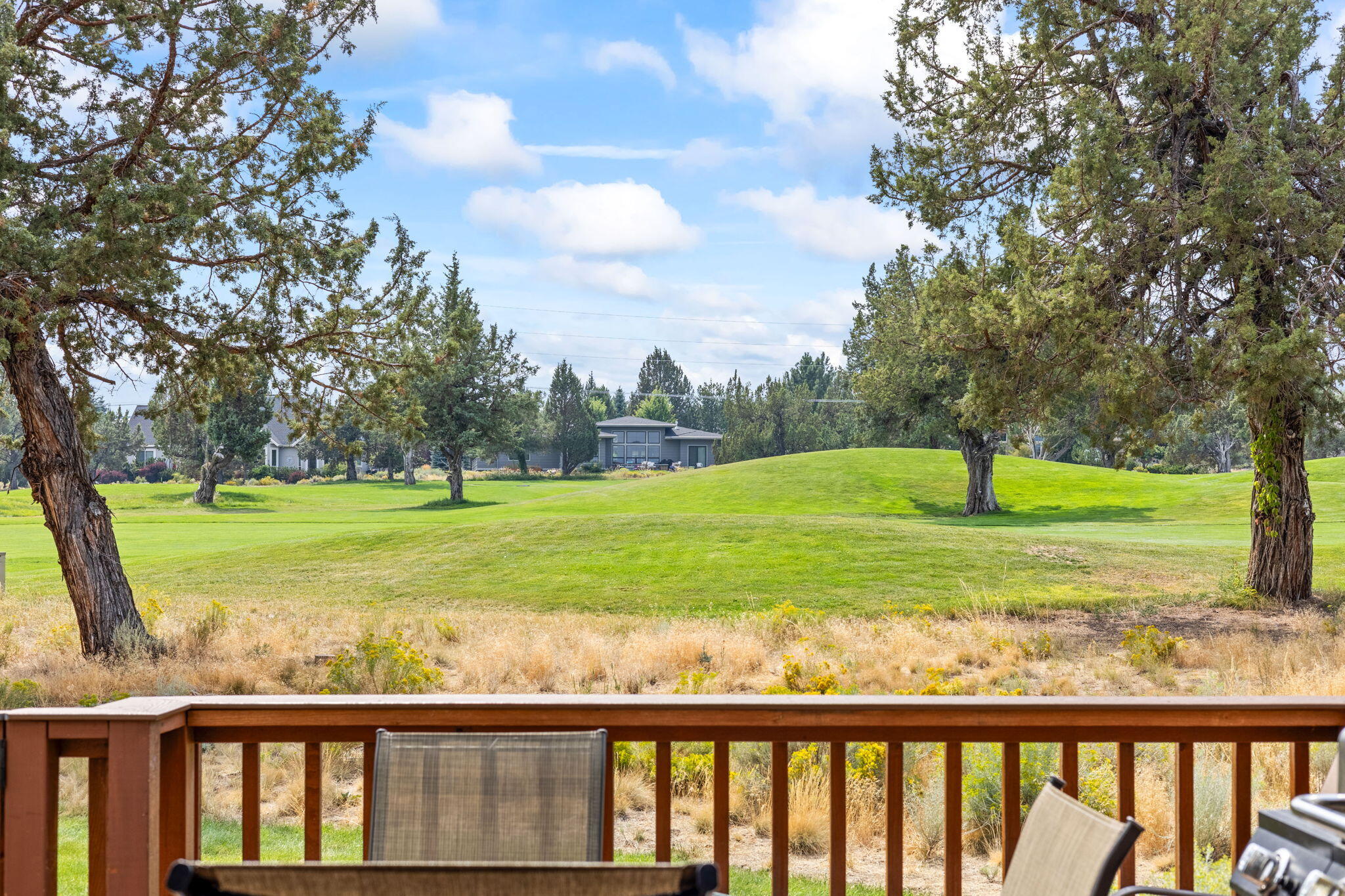 987 Golden Pheasant Drive