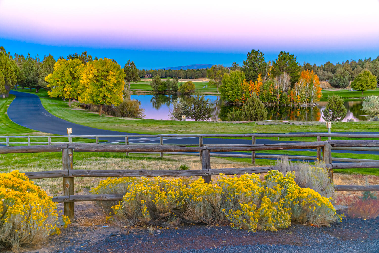 987 Golden Pheasant Drive