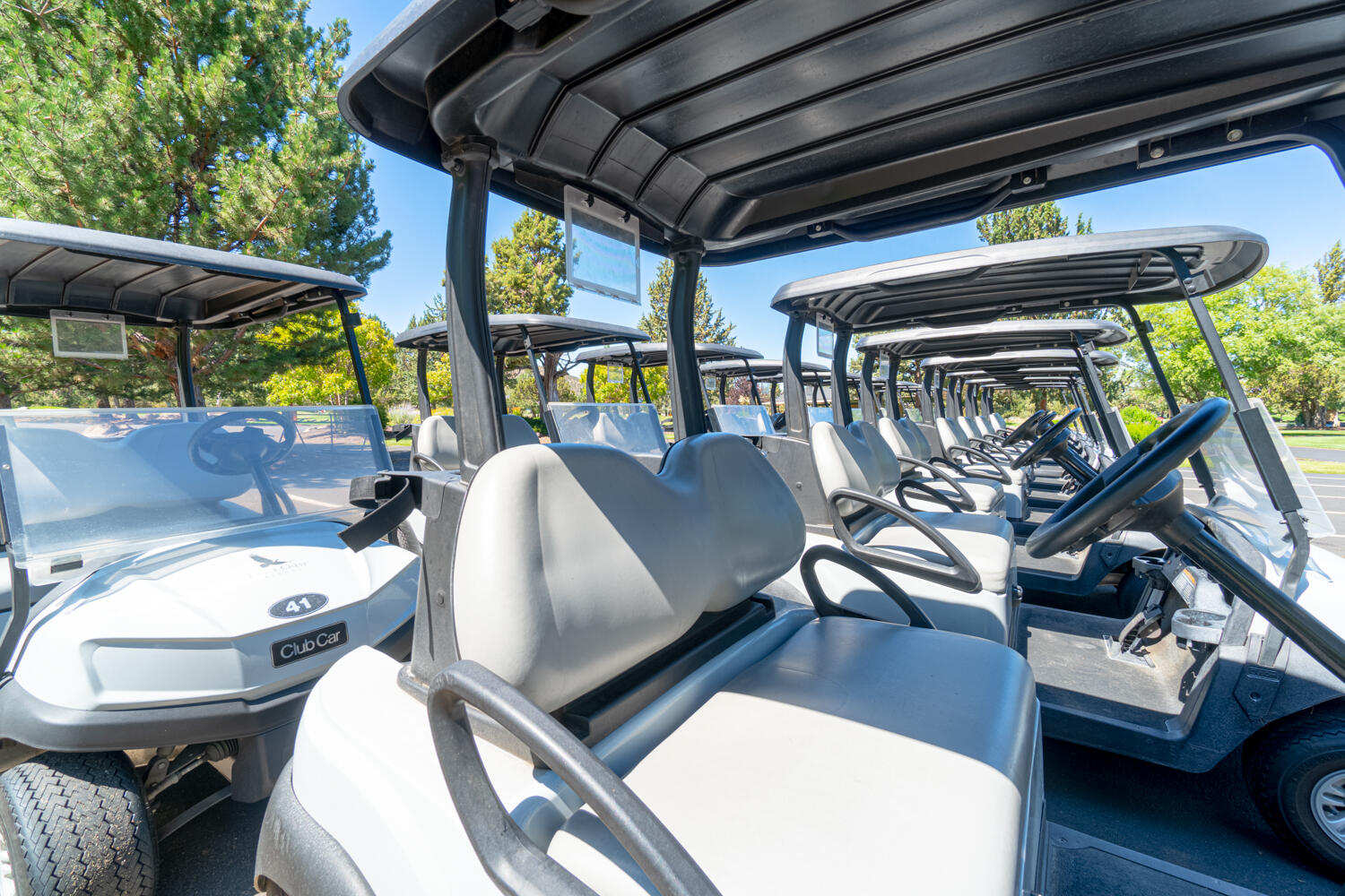 987 Golden Pheasant Drive