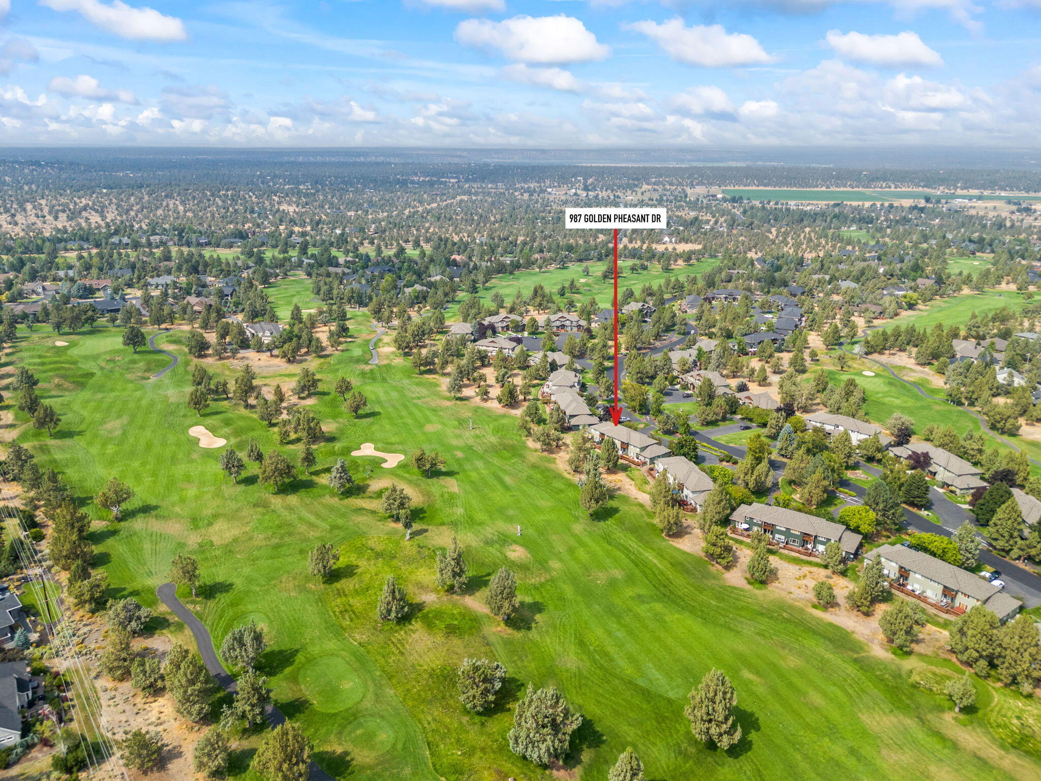 987 Golden Pheasant Drive