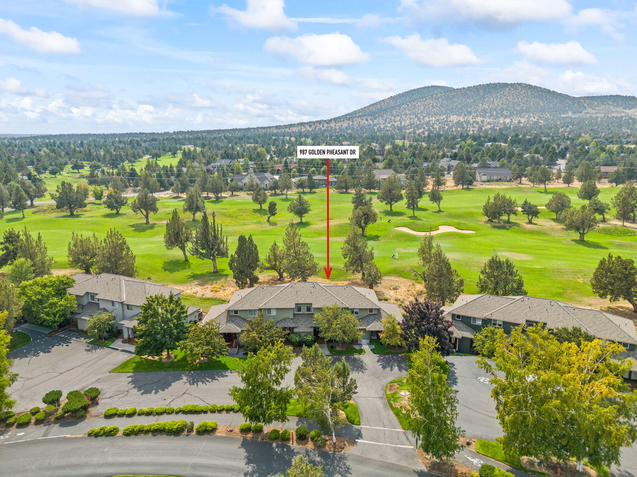 987 Golden Pheasant Drive