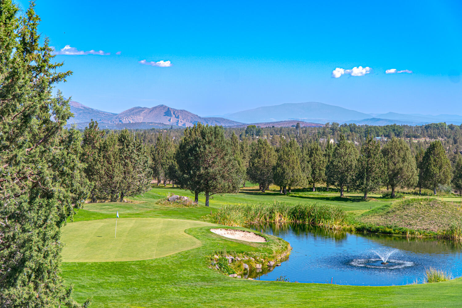 987 Golden Pheasant Drive