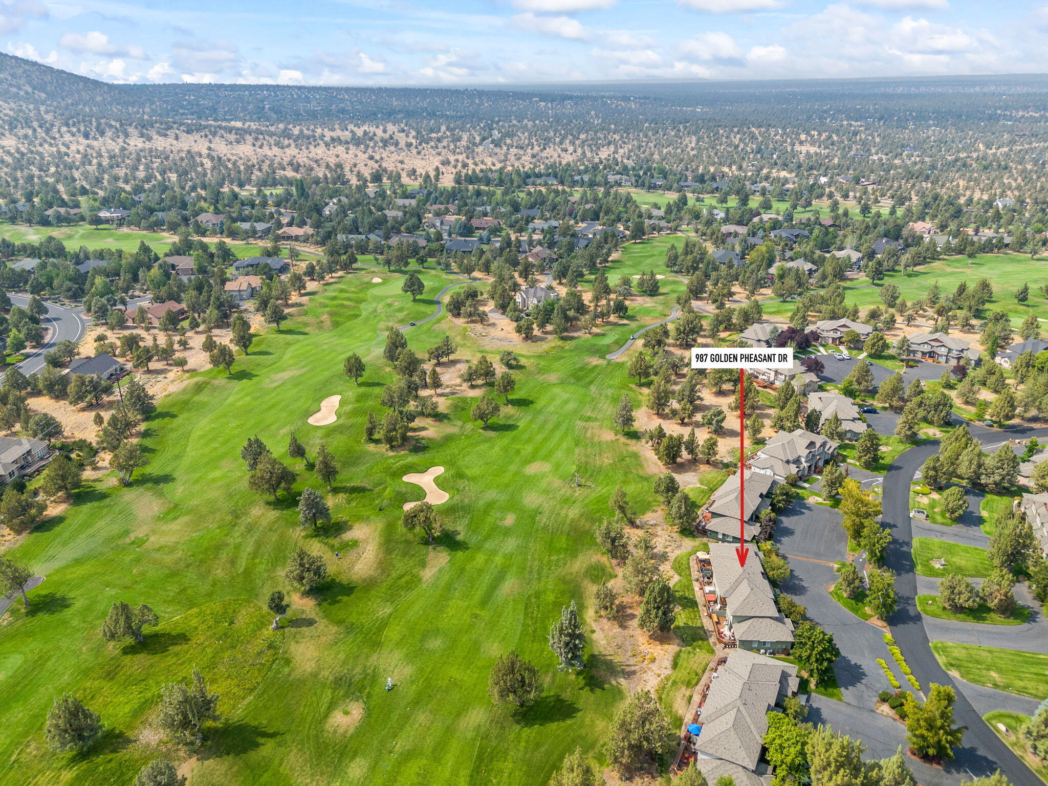 987 Golden Pheasant Drive