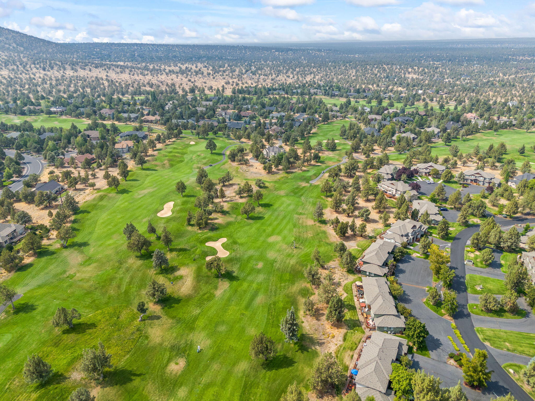 987 Golden Pheasant Drive