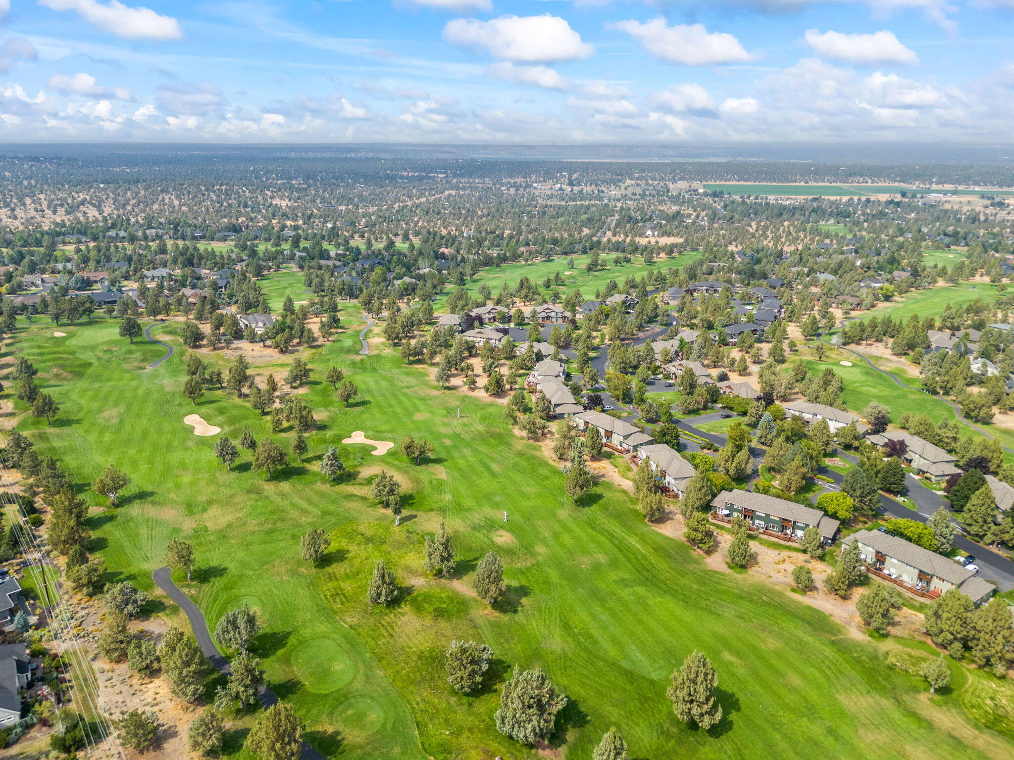 987 Golden Pheasant Drive