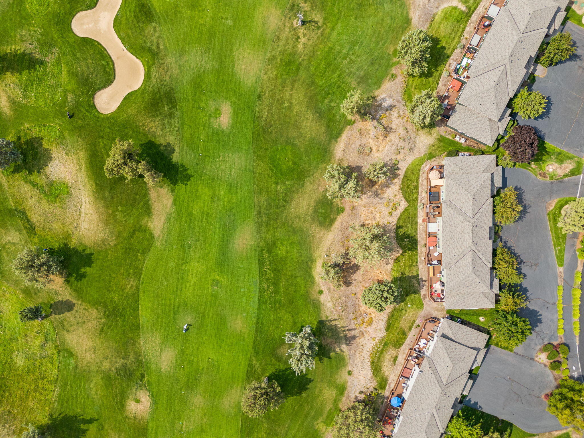 987 Golden Pheasant Drive