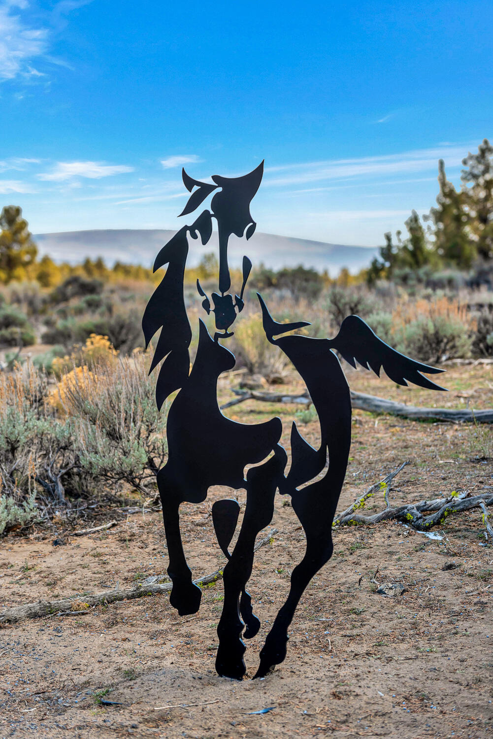 25025 Horse Ridge Frontage Road