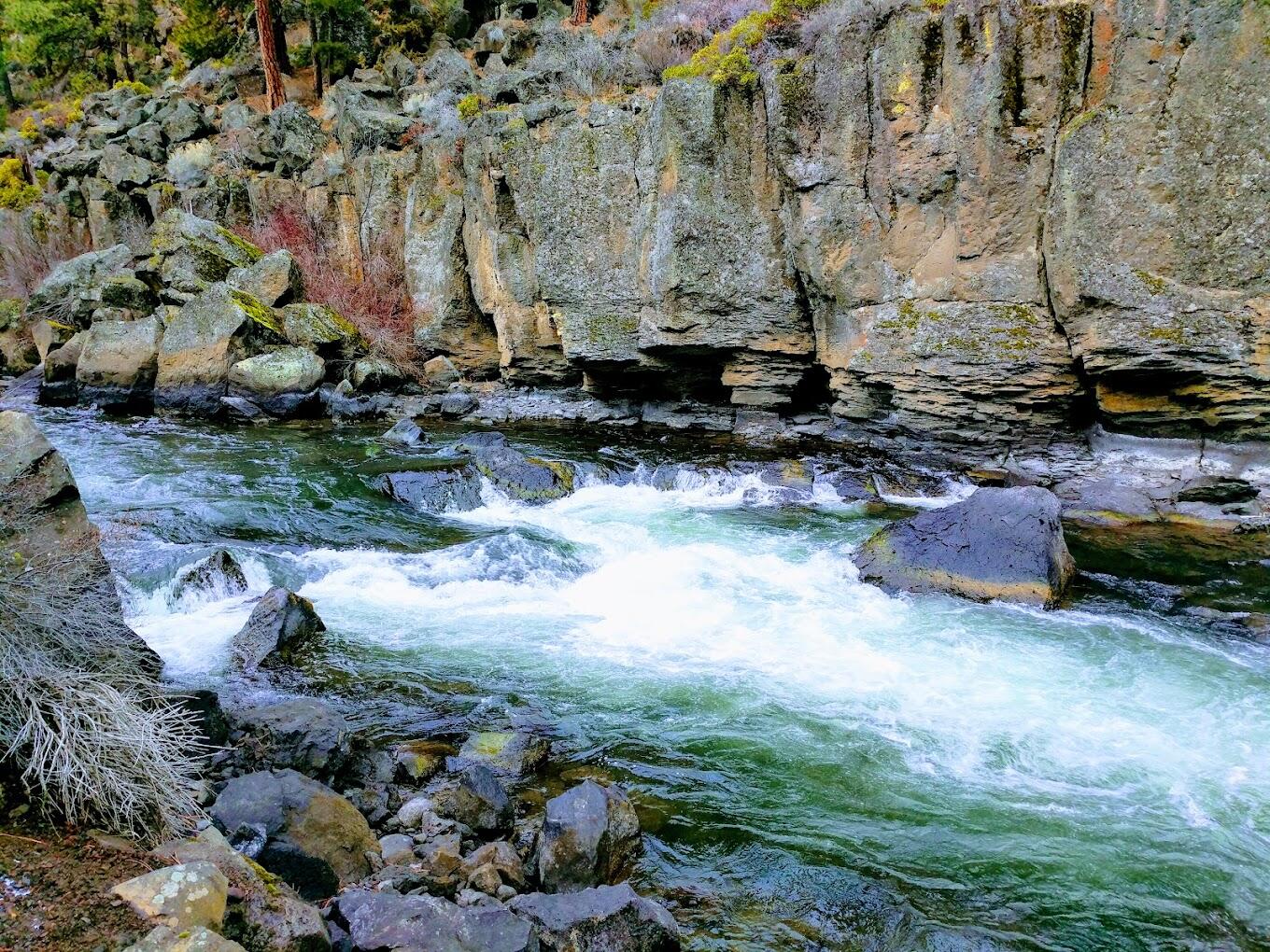 19601 Hollygrape Street