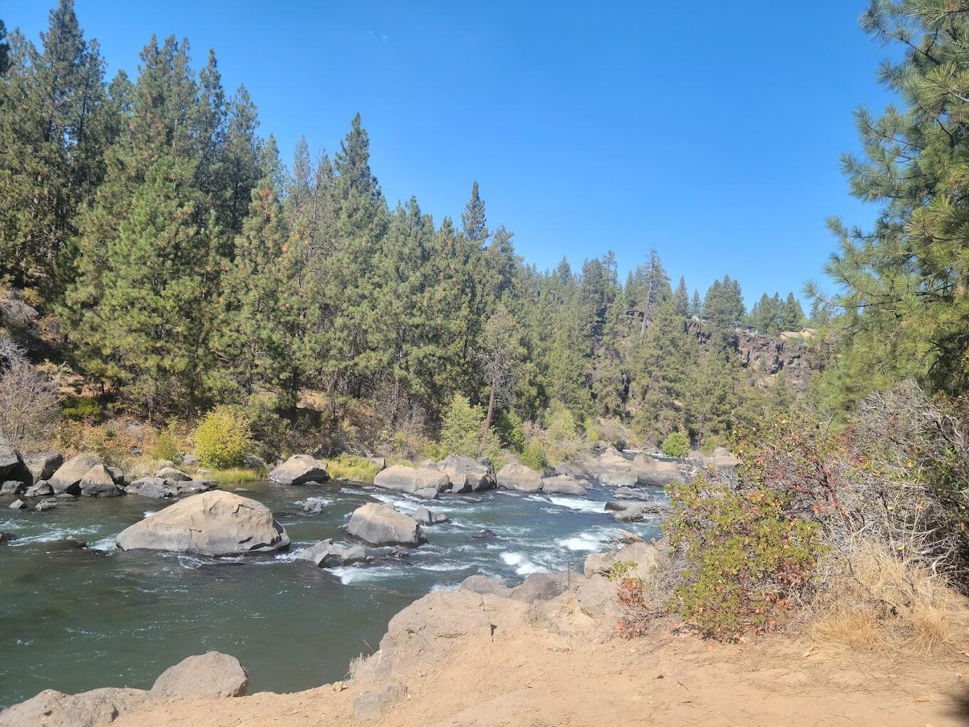 19601 Hollygrape Street