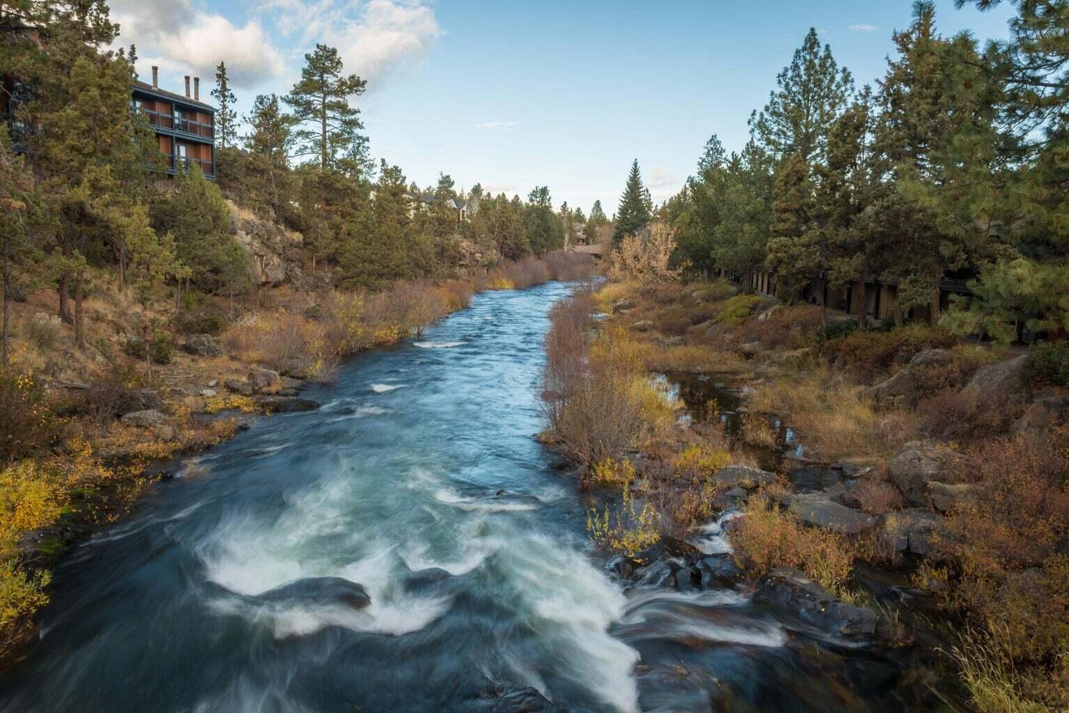 19601 Hollygrape Street