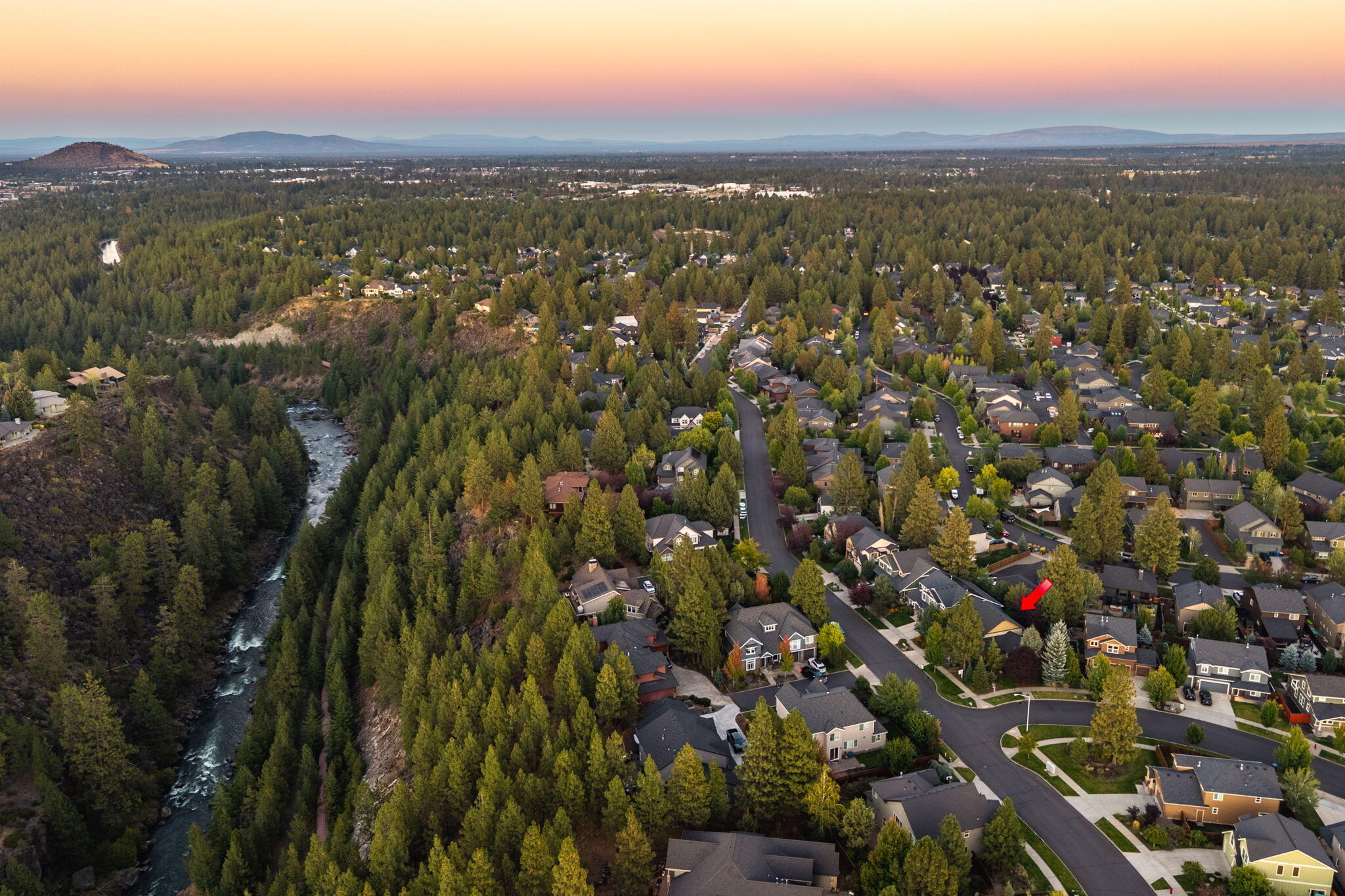 19601 Hollygrape Street