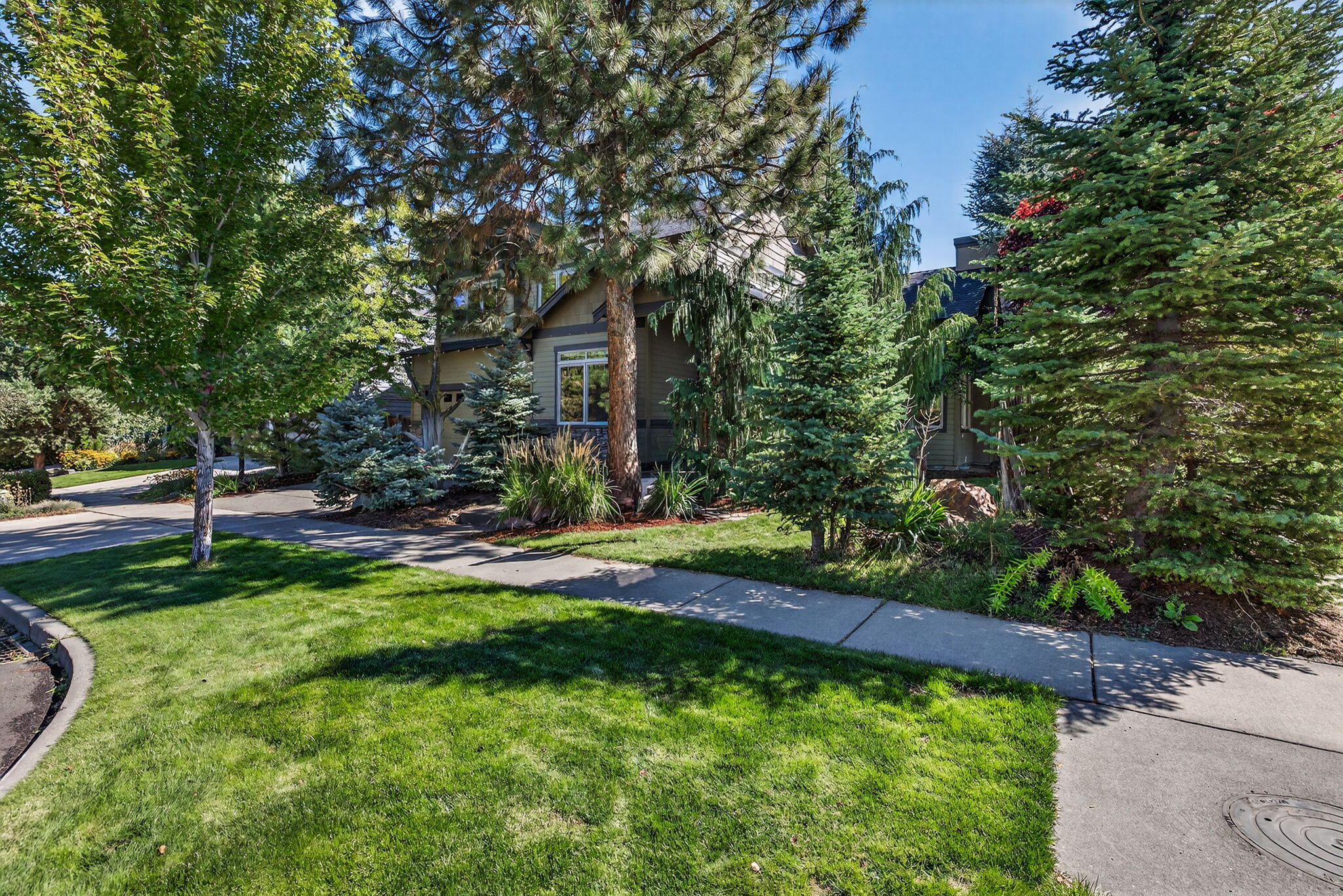 19601 Hollygrape Street