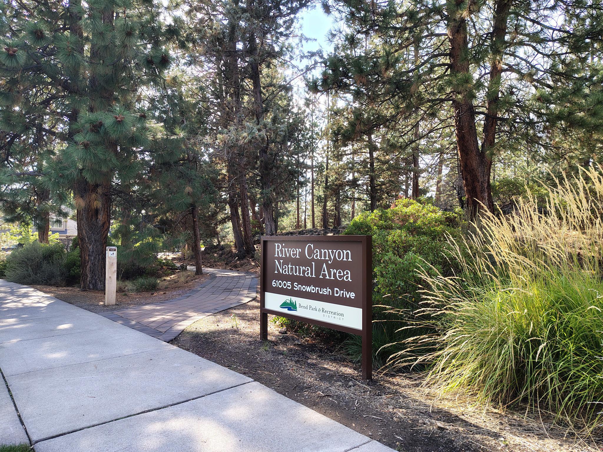 19601 Hollygrape Street