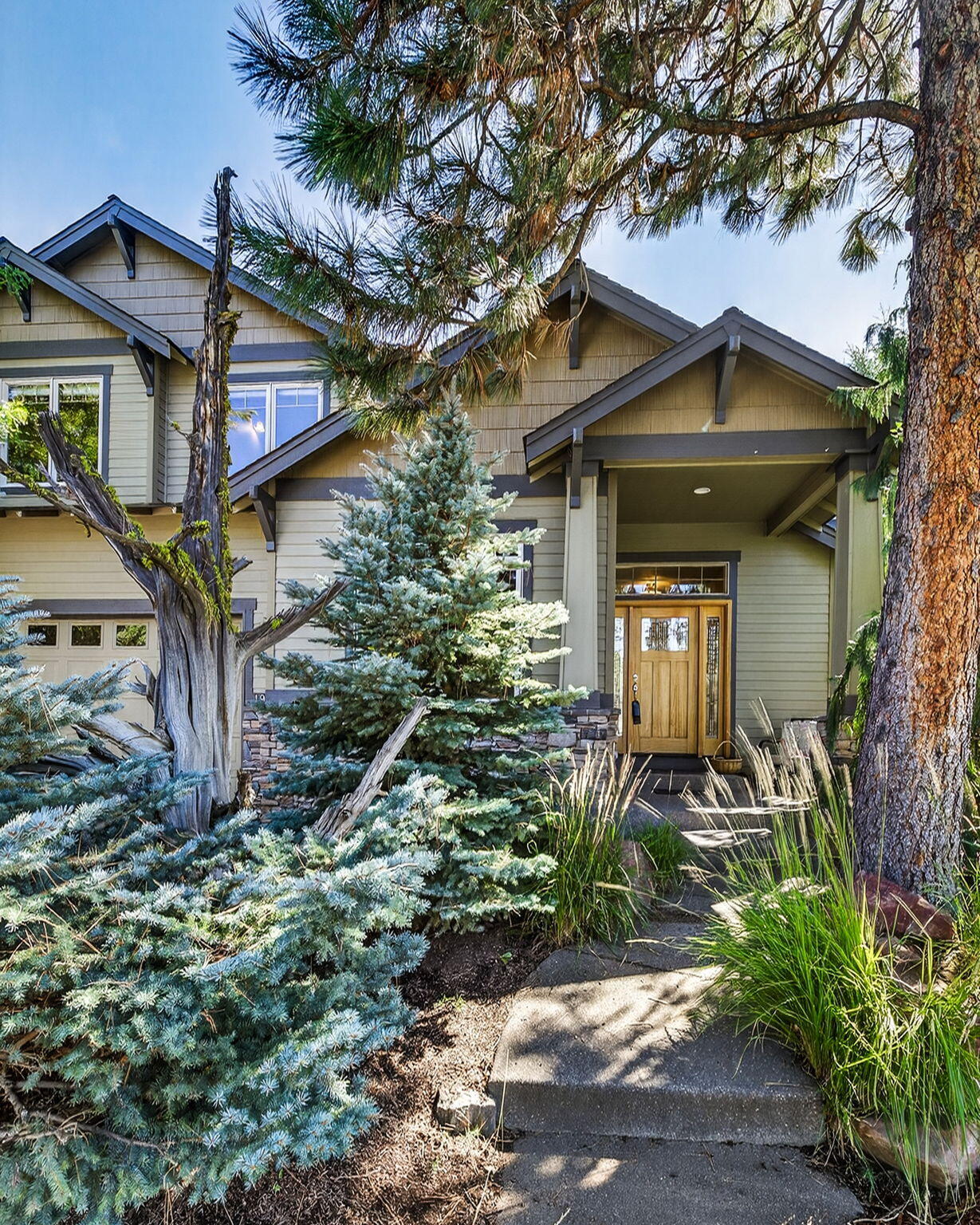 19601 Hollygrape Street