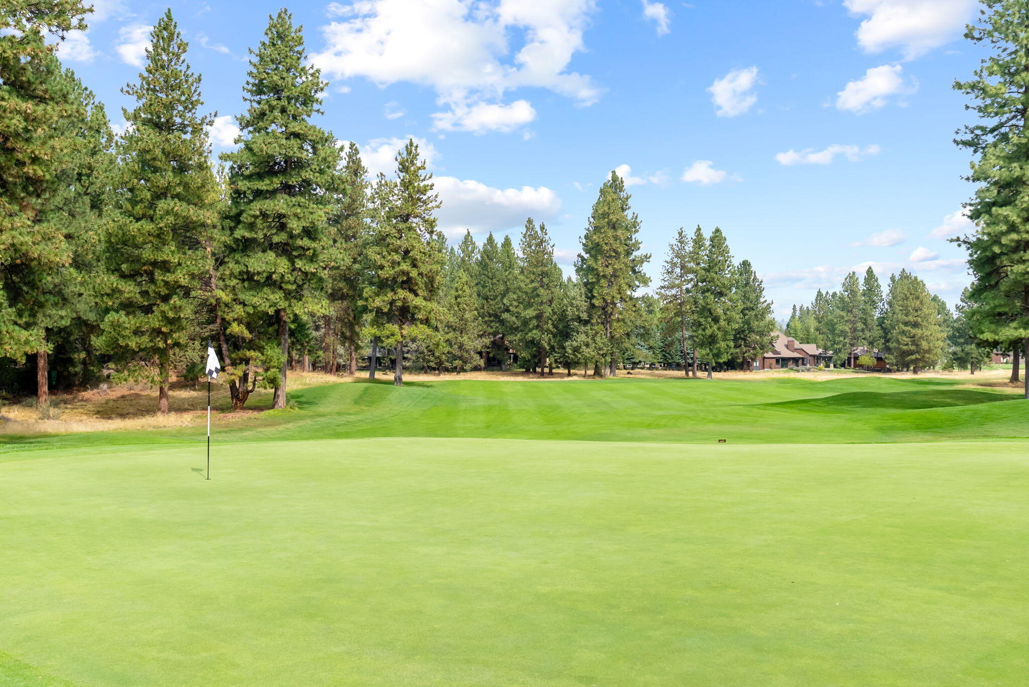 61709 Tam McArthur Loop