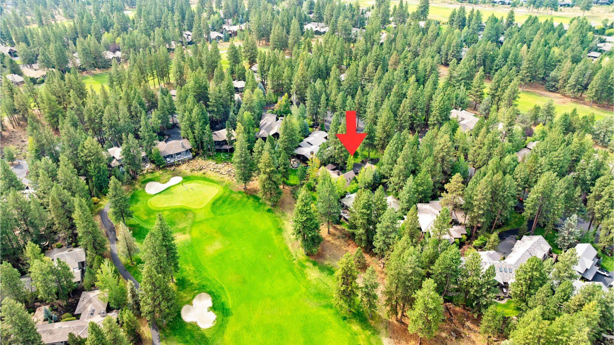 61709 Tam McArthur Loop