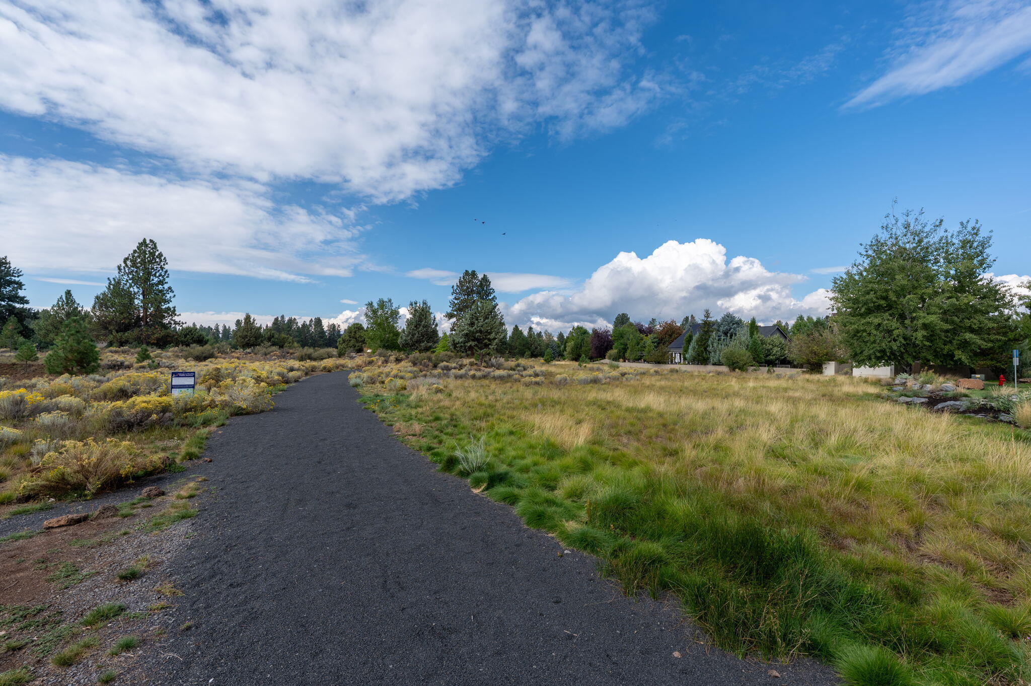 60940 Clearmeadow Court