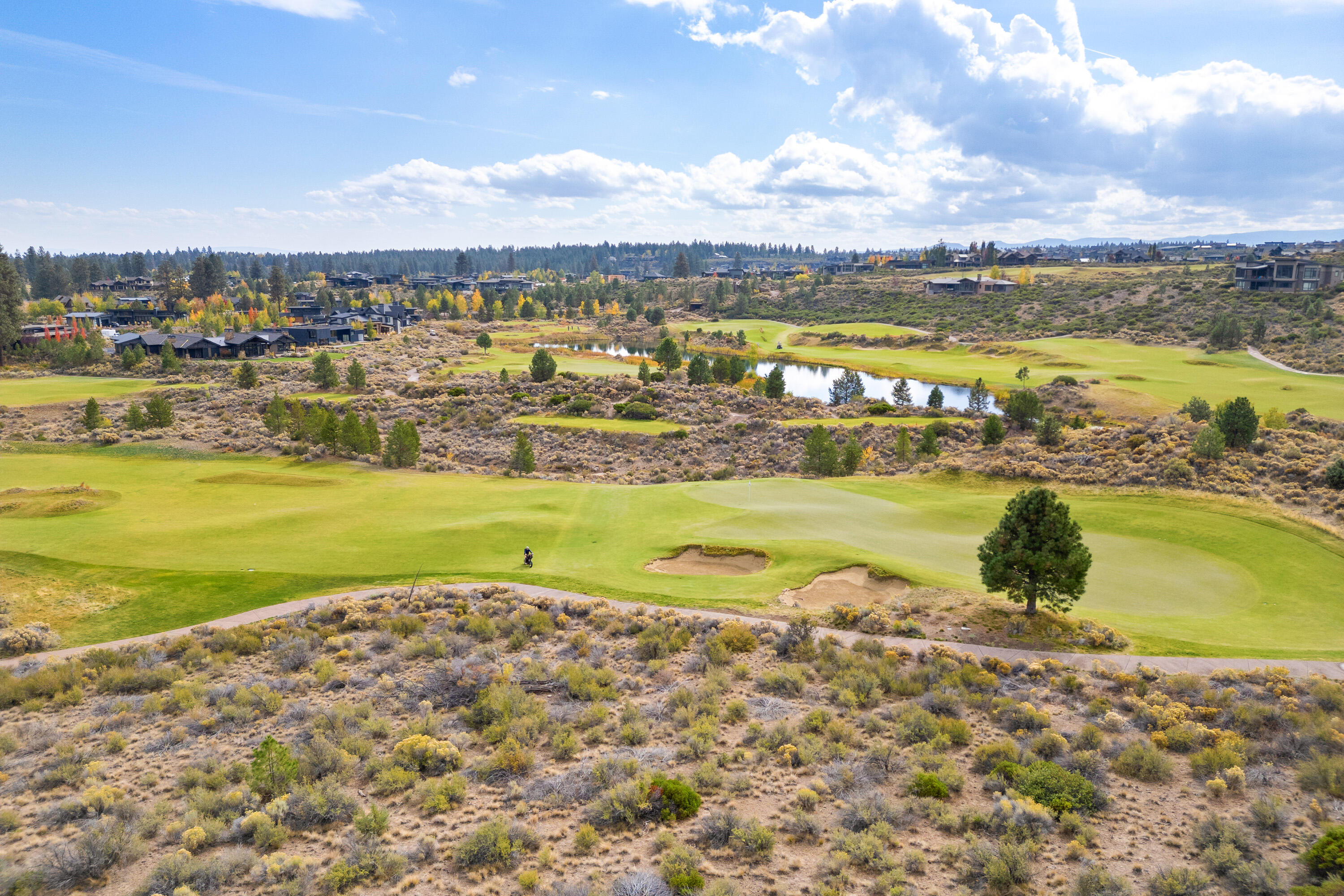 19107 Cartwright Court