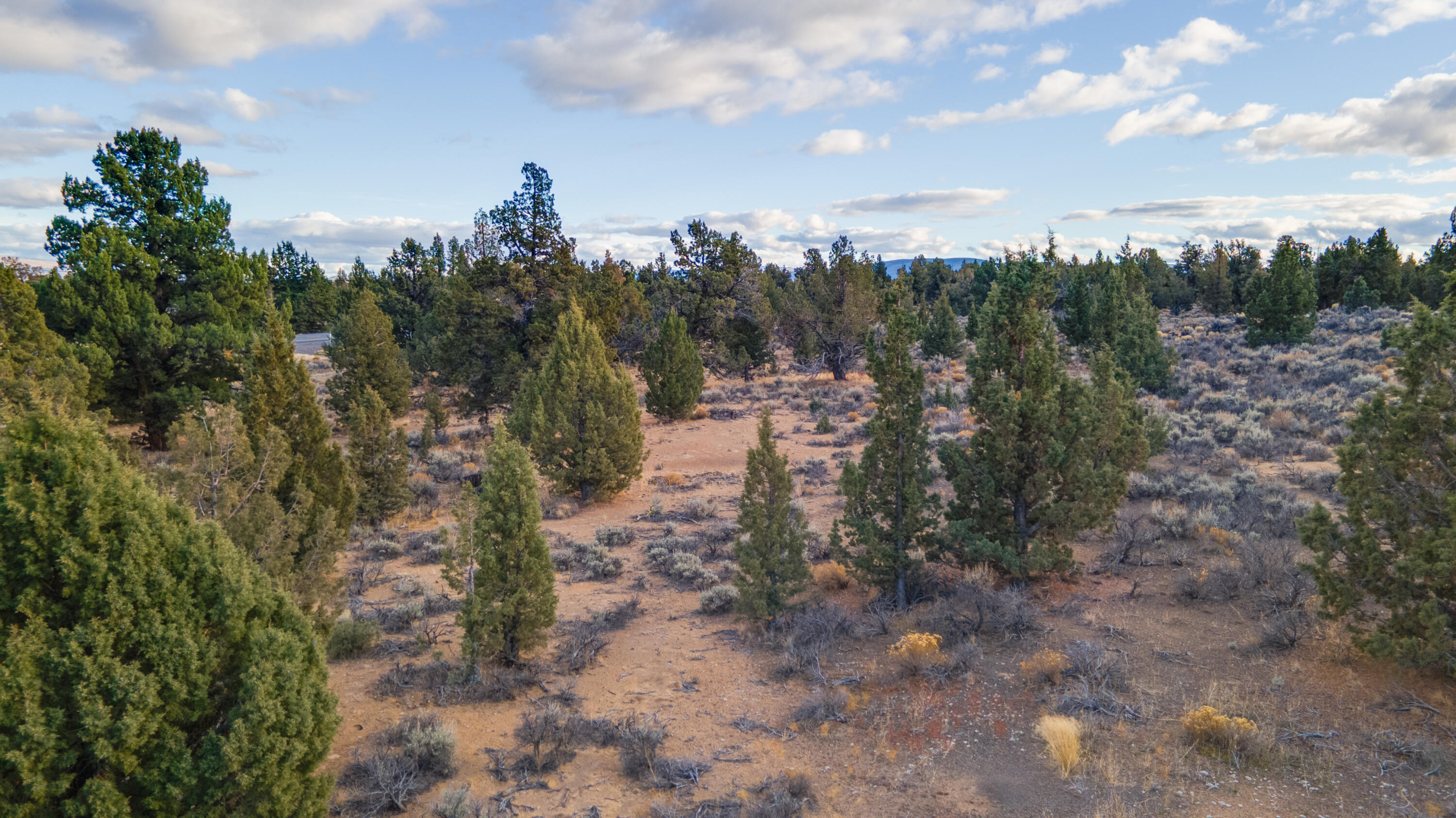 23737 Highway 20